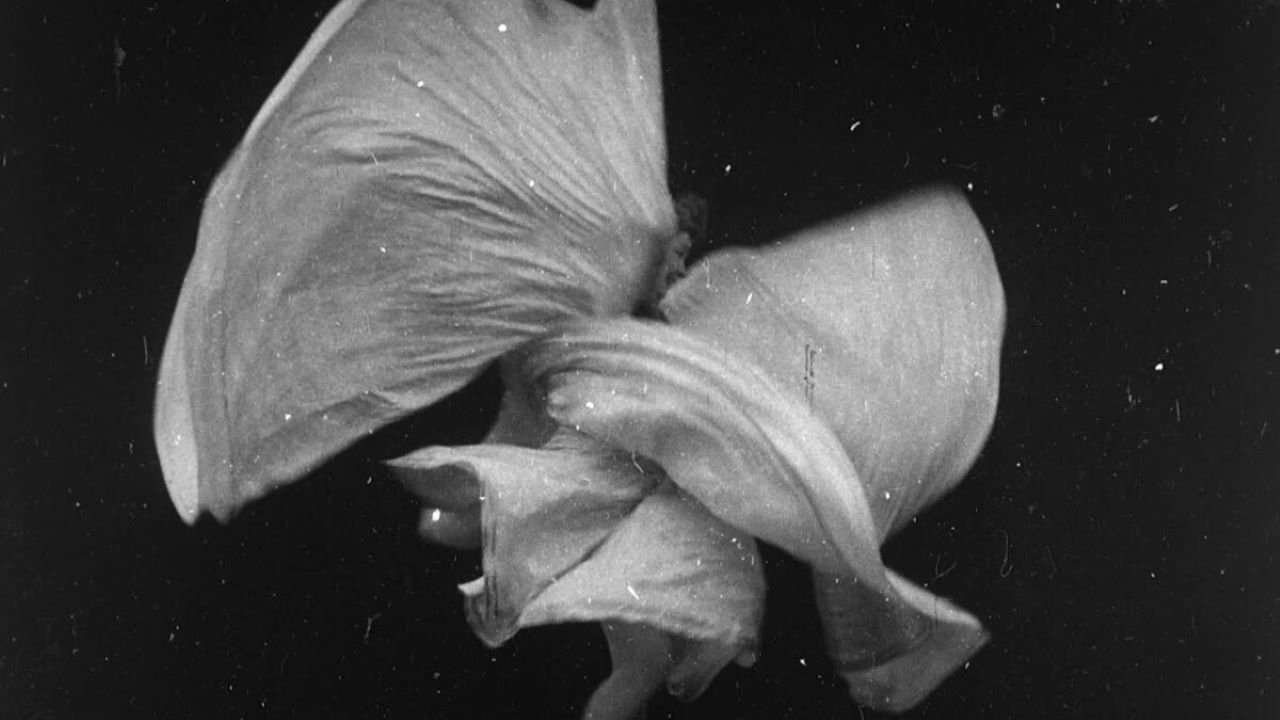 Backdrop for Serpentine Dance by Mme. Bob Walter