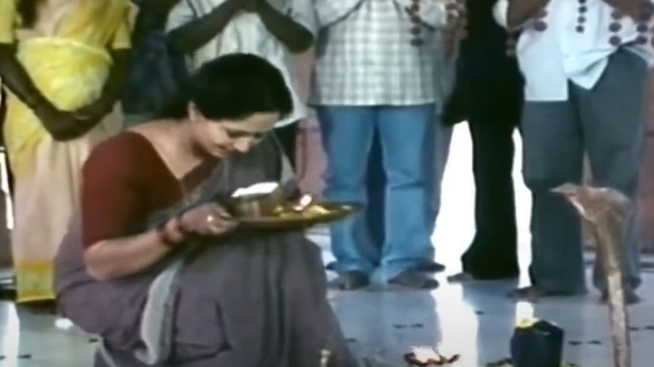 Backdrop for My Home Is Your World