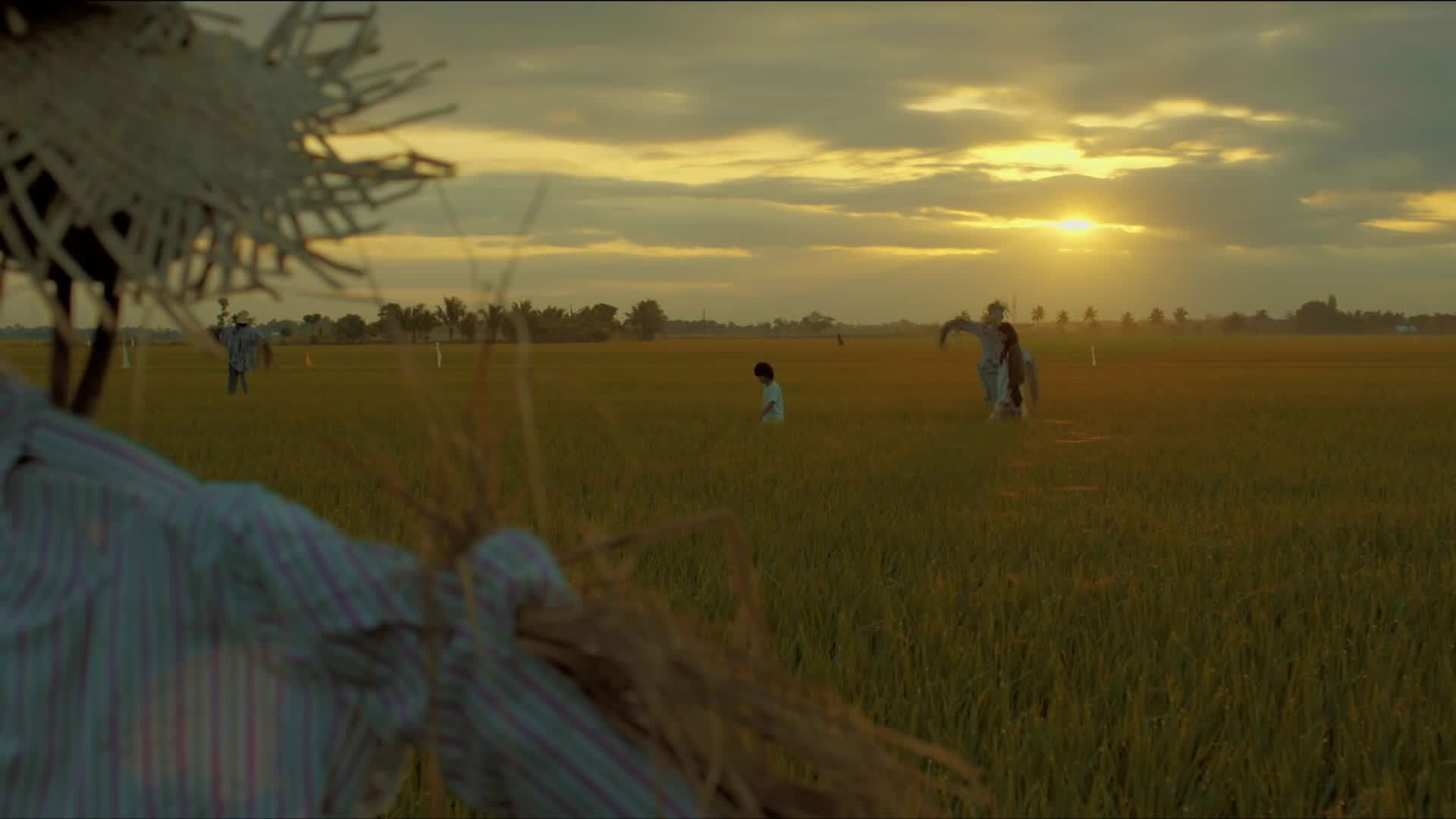 Backdrop for Scarecrow