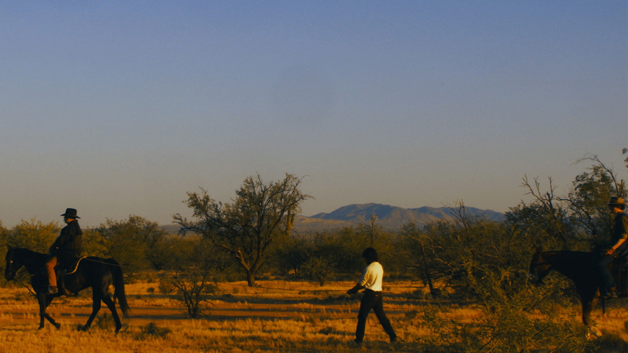 Backdrop for The Bad Taste Better