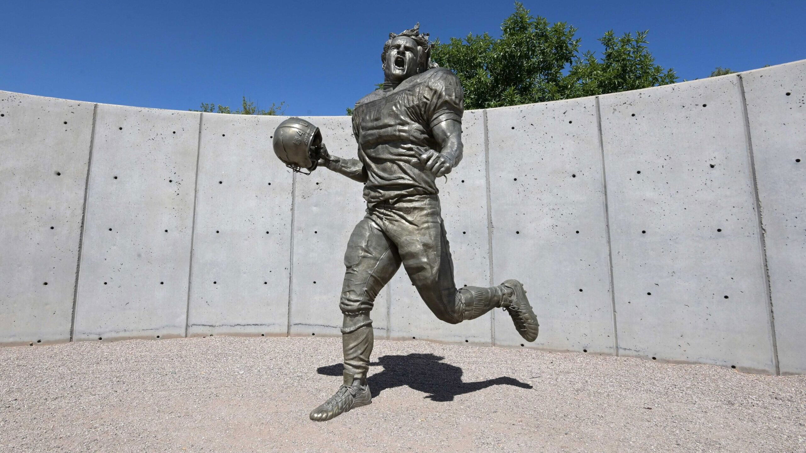 Backdrop for Pat Tillman: Life. Death. Legacy.