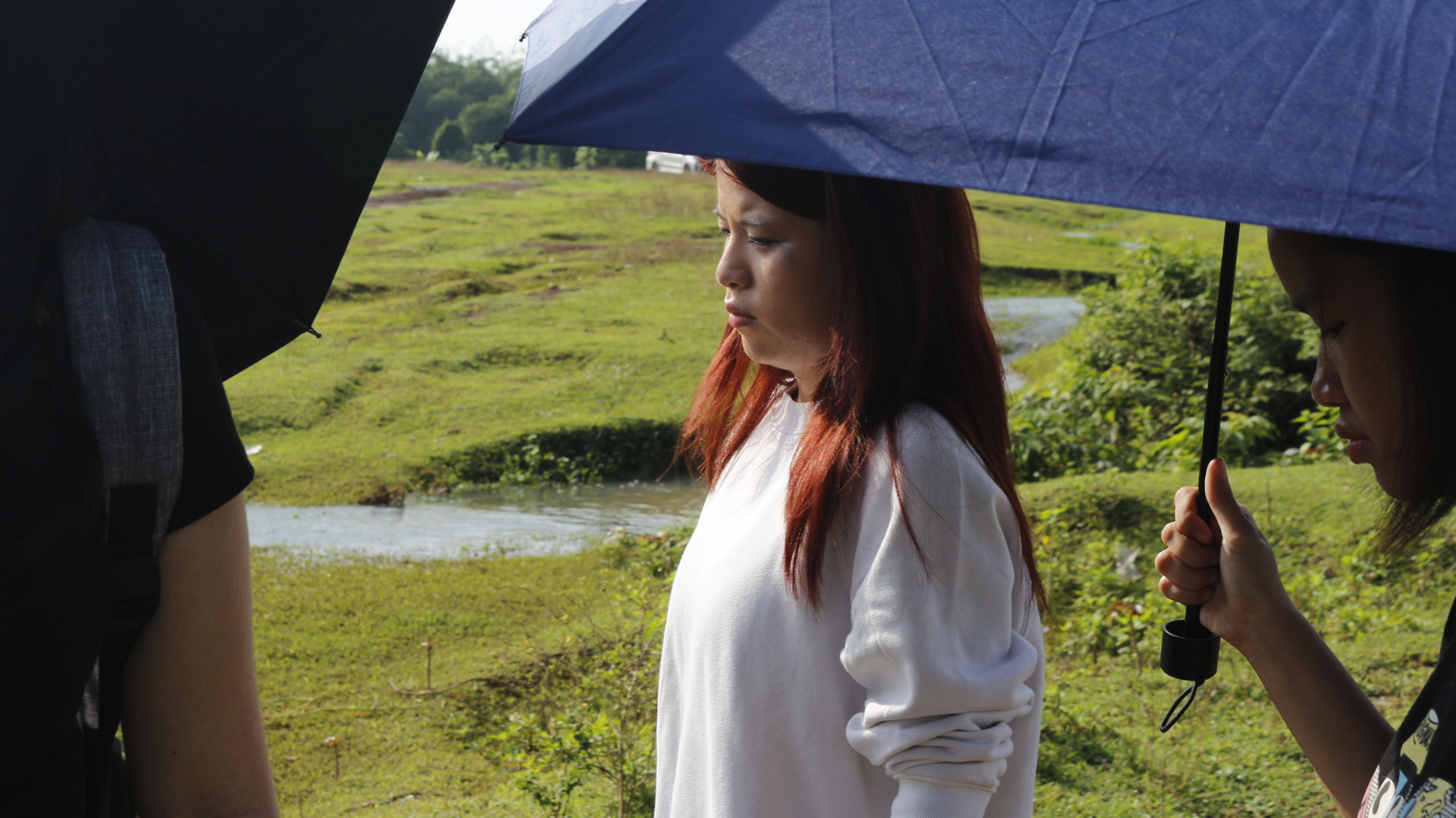 Backdrop for Refugee of Life