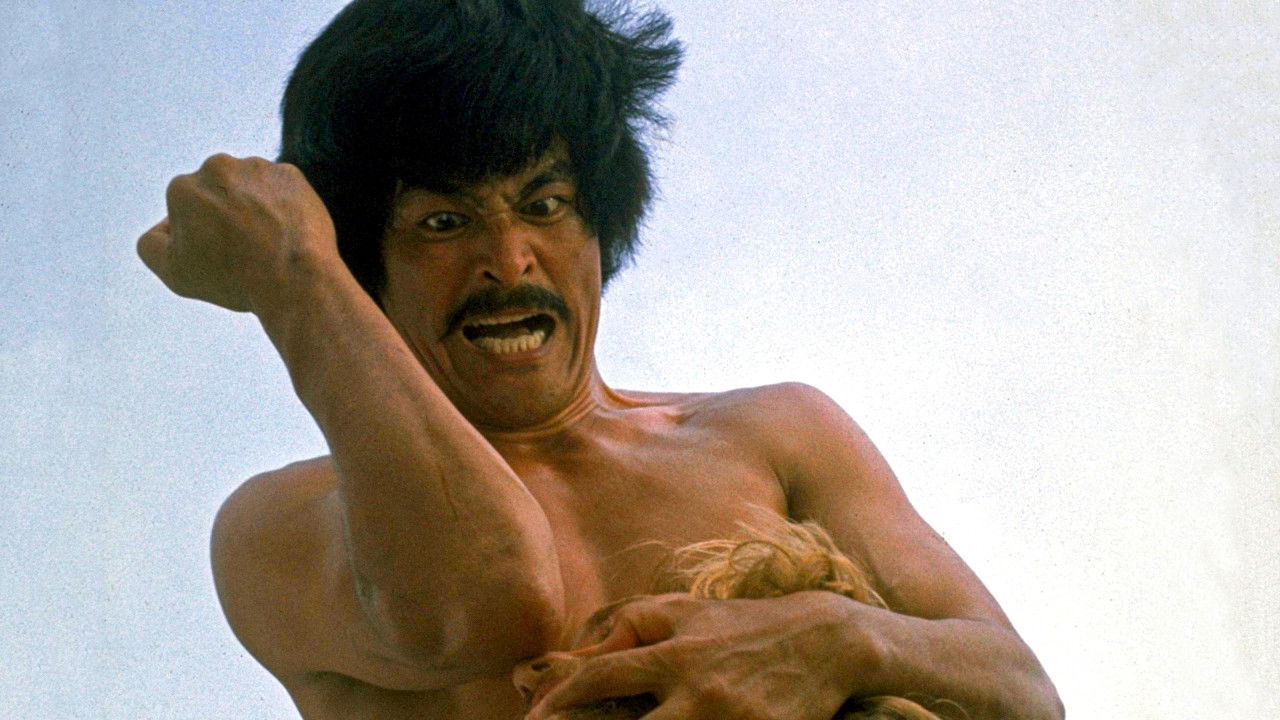 Backdrop for The Karate