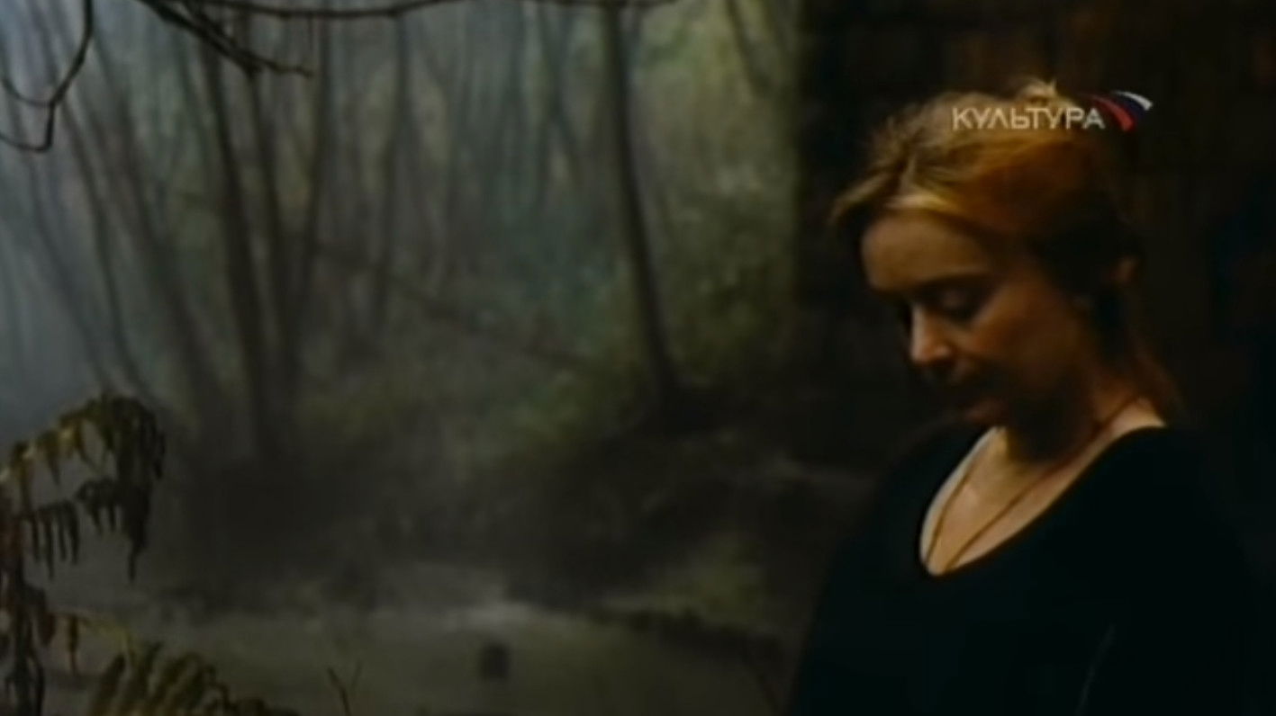 Backdrop for In the Middle of the World