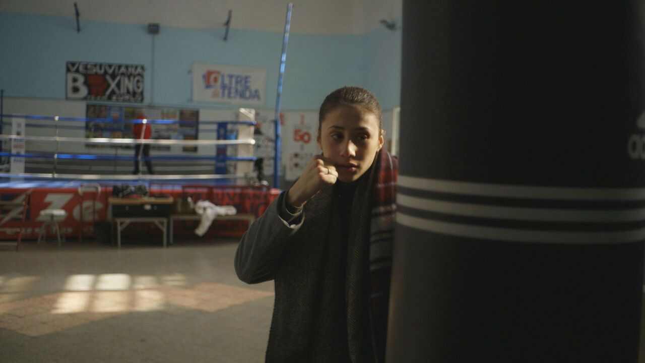 Backdrop for Butterfly