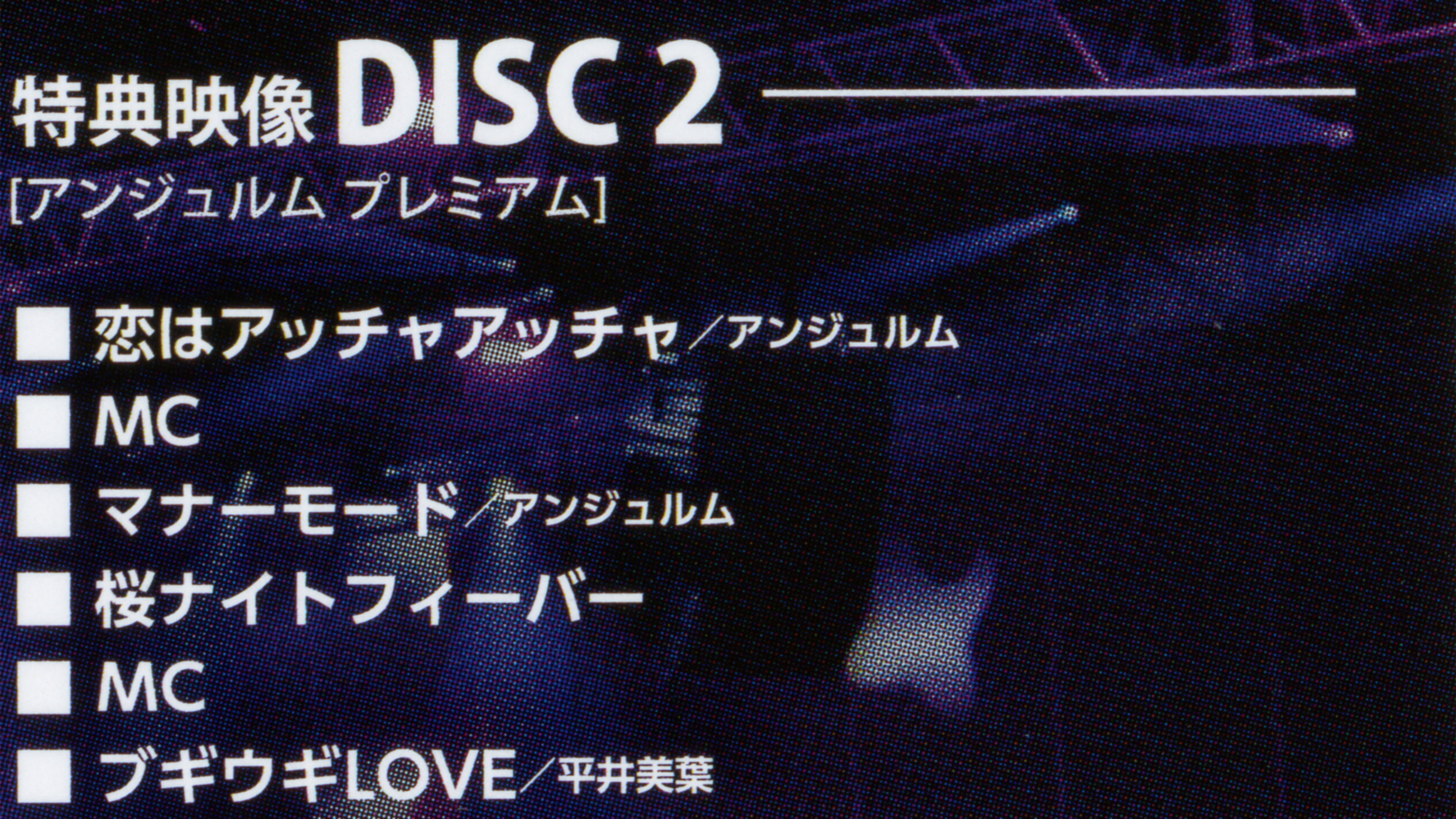 Backdrop for Hello! Project 2019 Hina Fes ~ANGERME Premium~