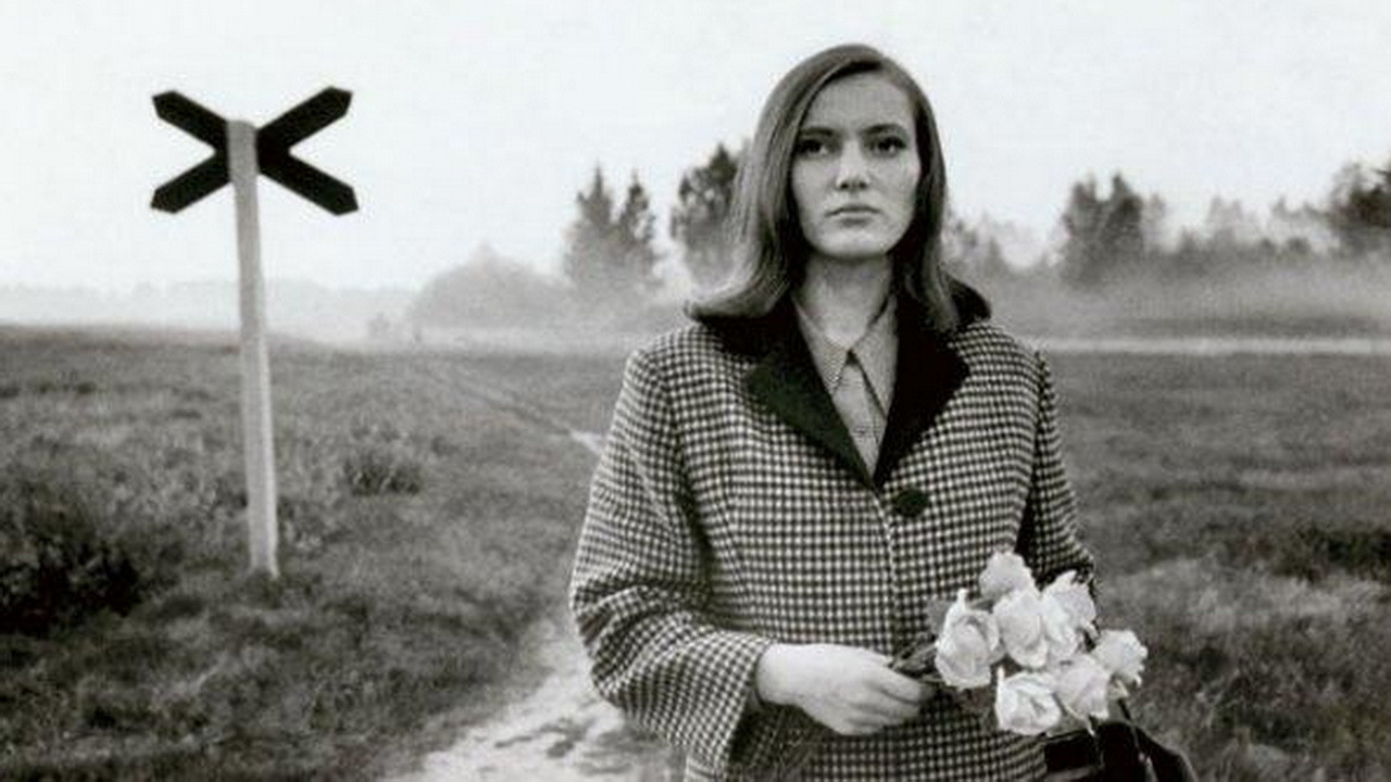 Backdrop for Pimedad aknad