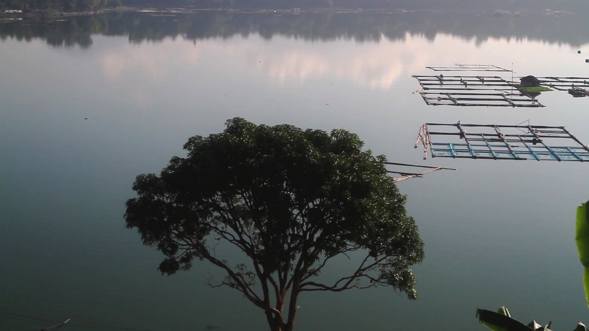 Backdrop for Eldest Among the Seven