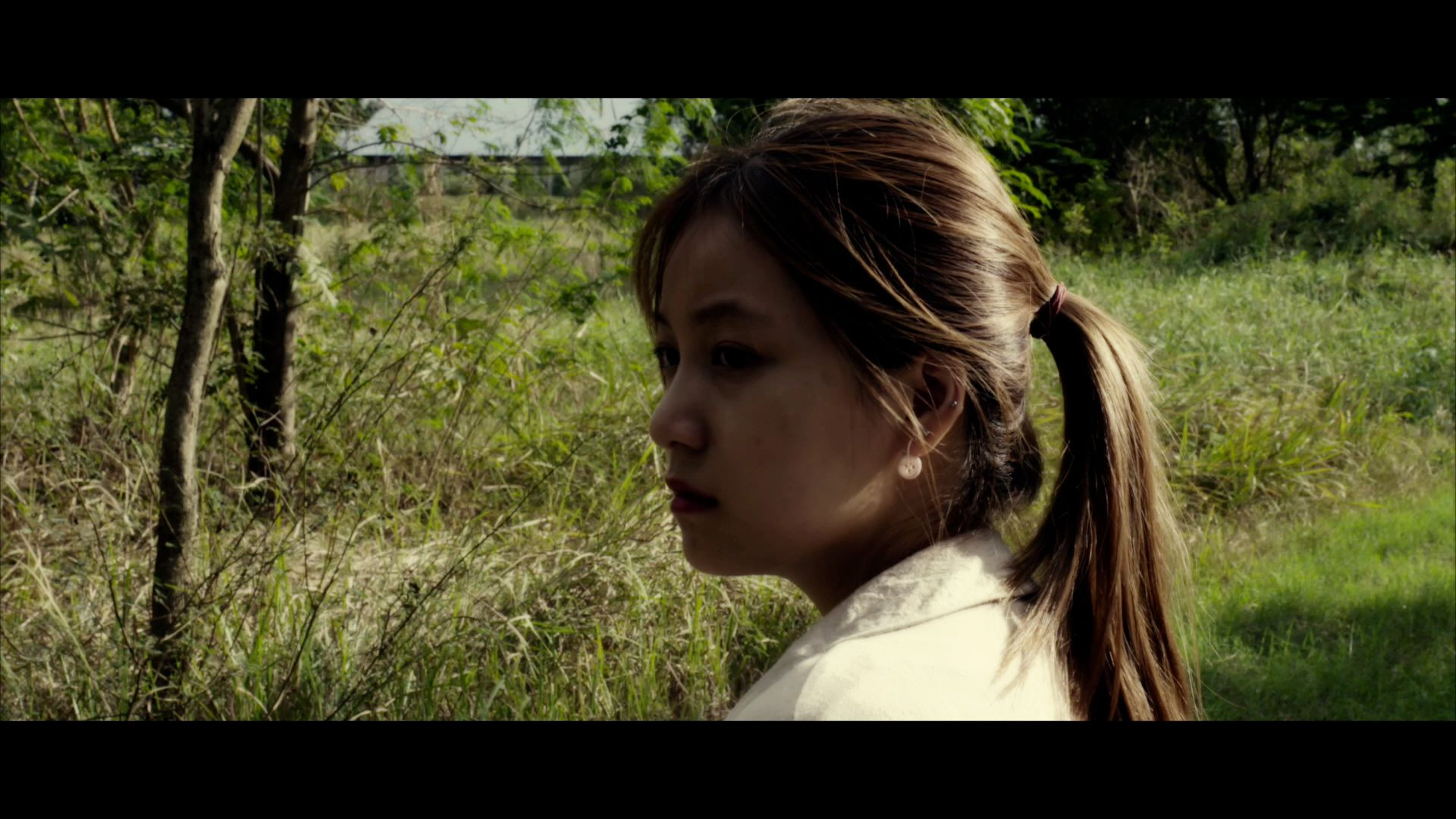 Backdrop for A Dog Funeral