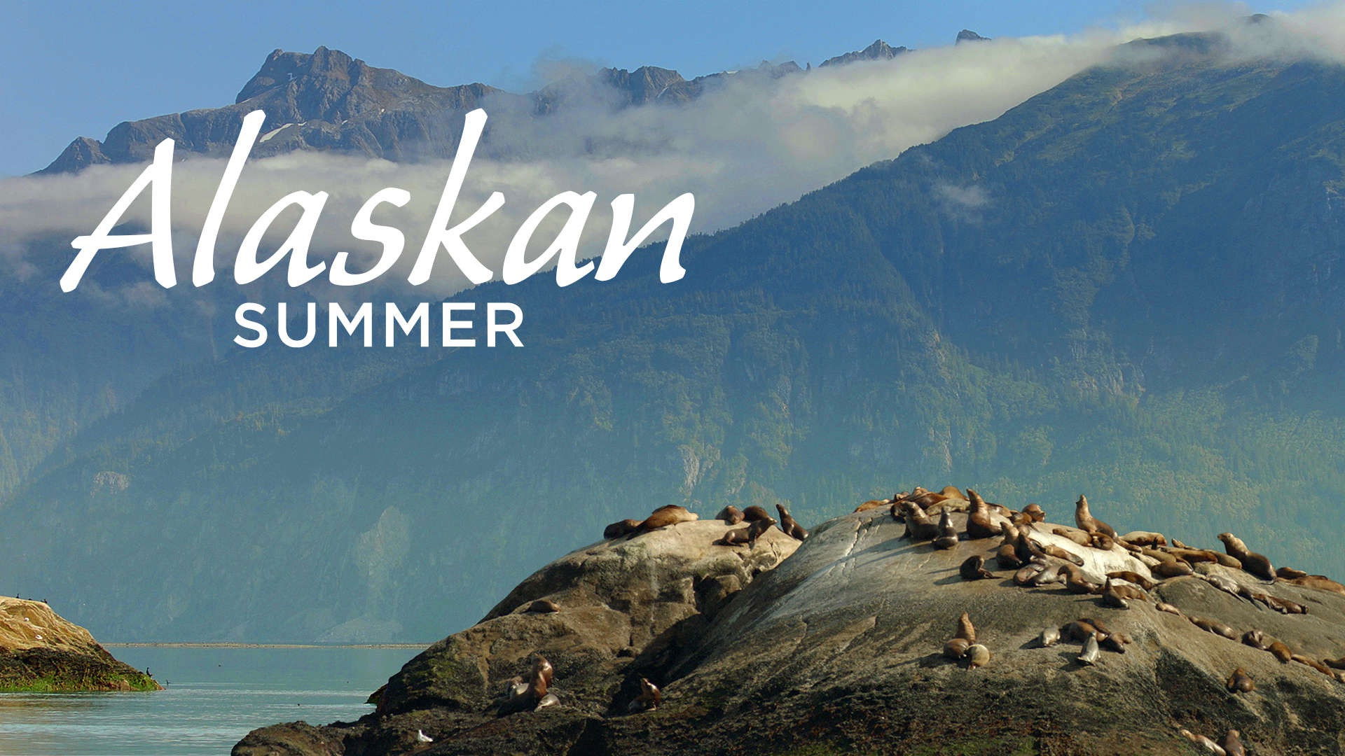 Backdrop for Alaskan Summer