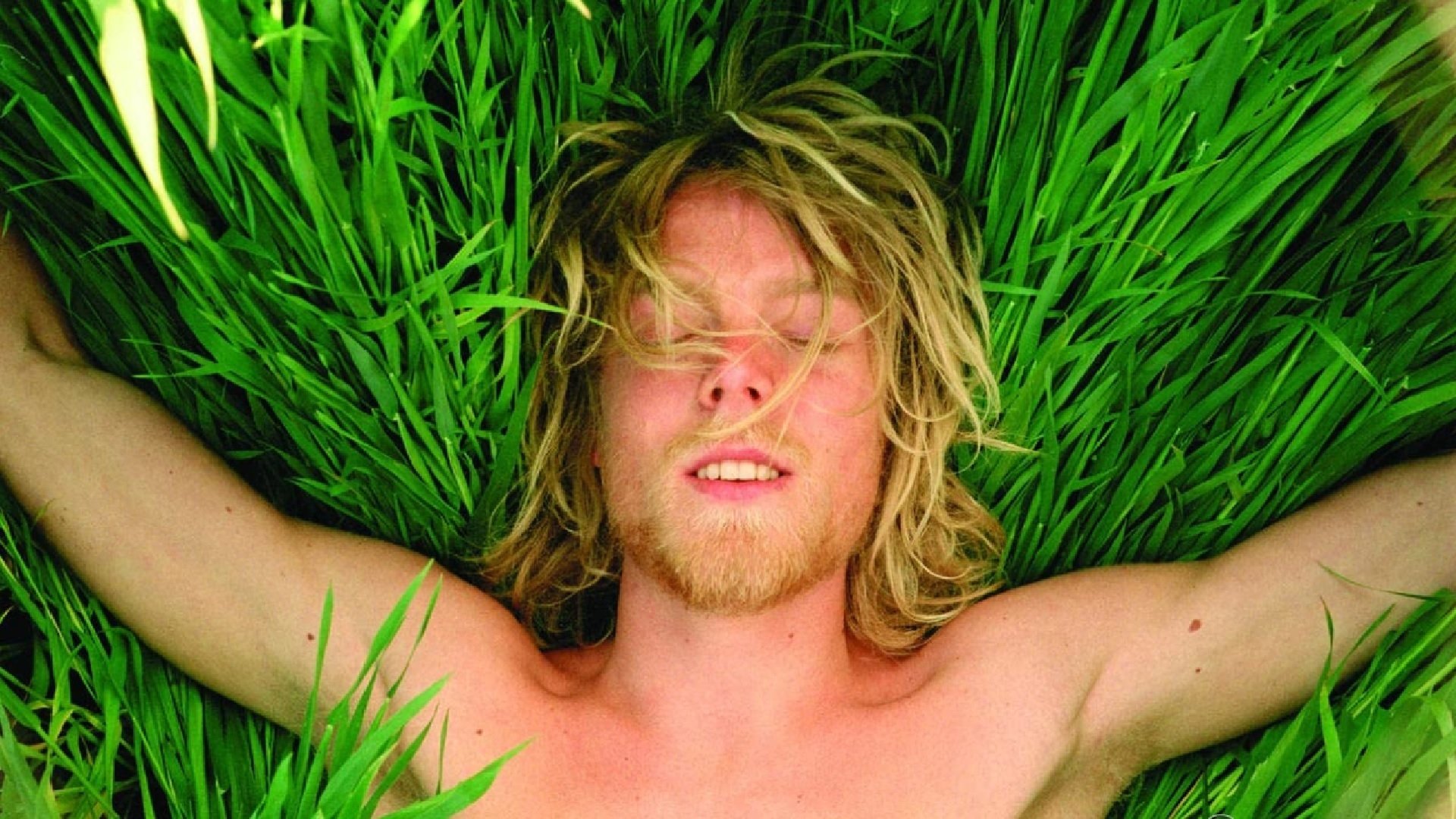 Backdrop for Falkenberg Farewell