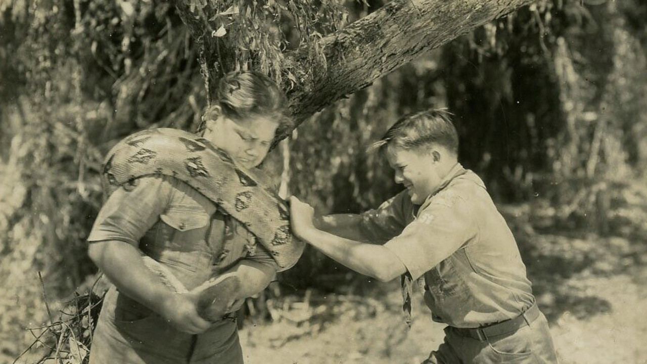 Backdrop for Young Eagles