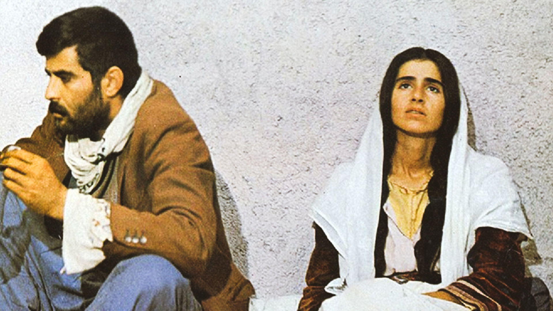 Backdrop for The Herd