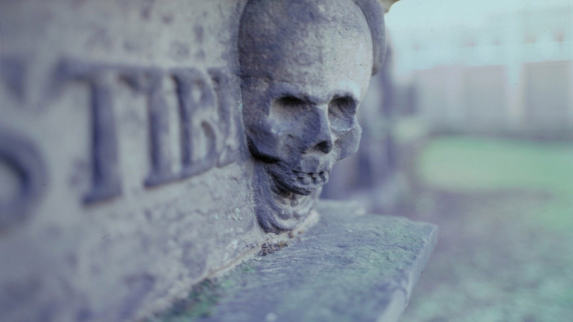 Backdrop for Scariest Places on Earth