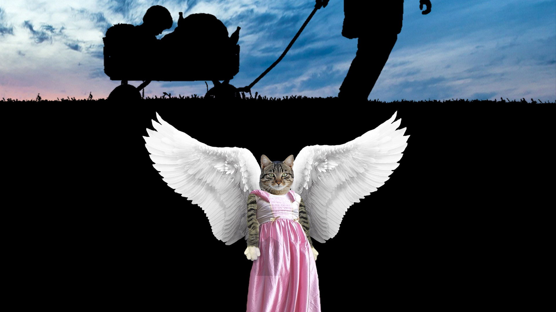 Backdrop for Danke tote Katze