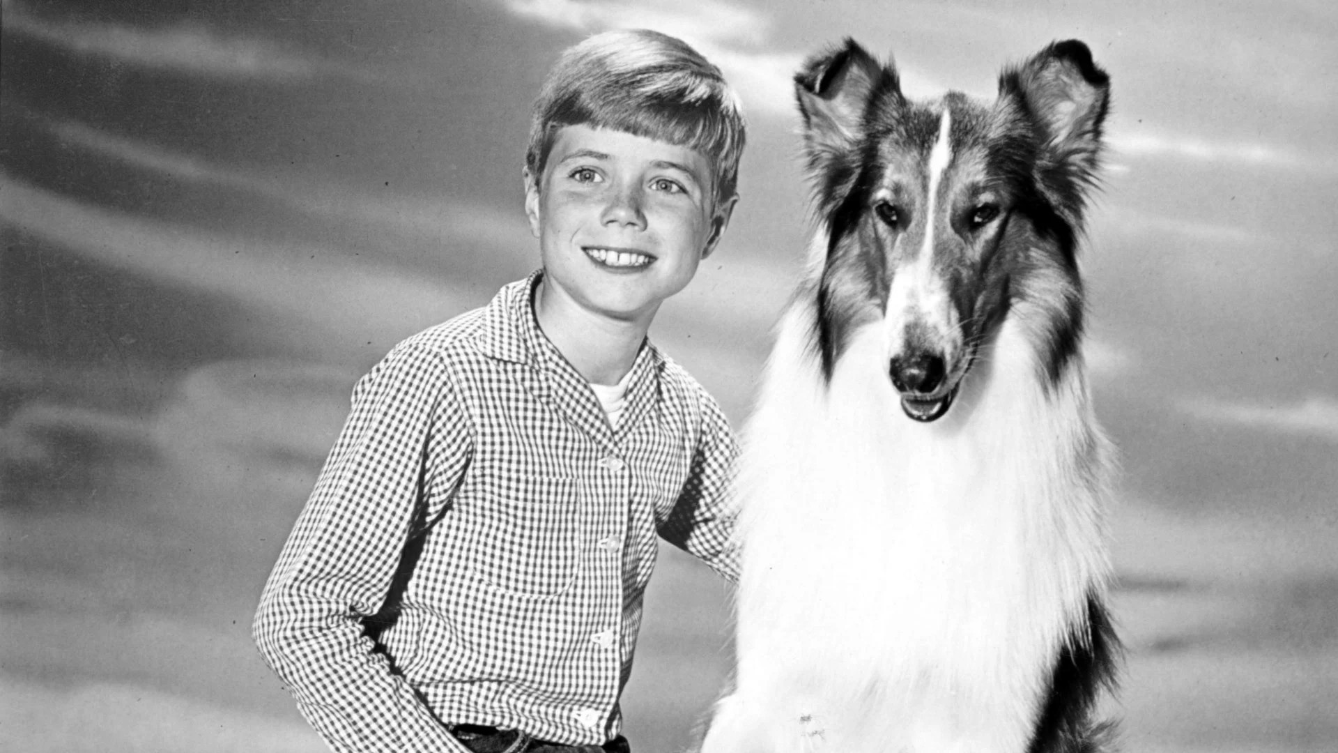 Backdrop for Lassie