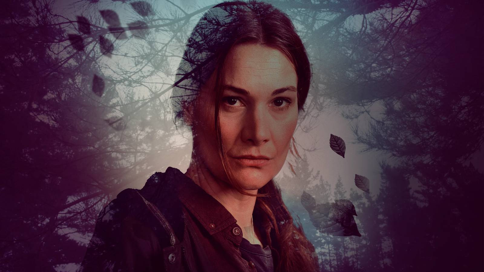 Backdrop for Donkerbos