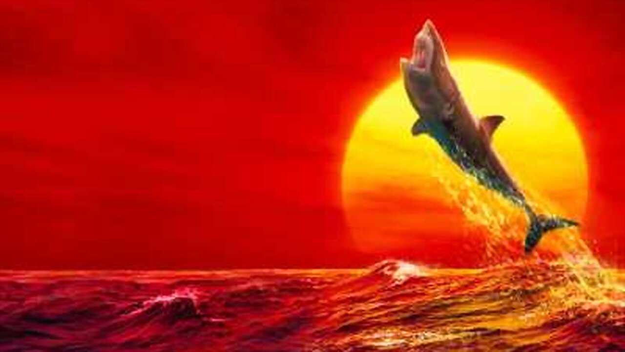 Backdrop for Air Jaws: Final Frontier