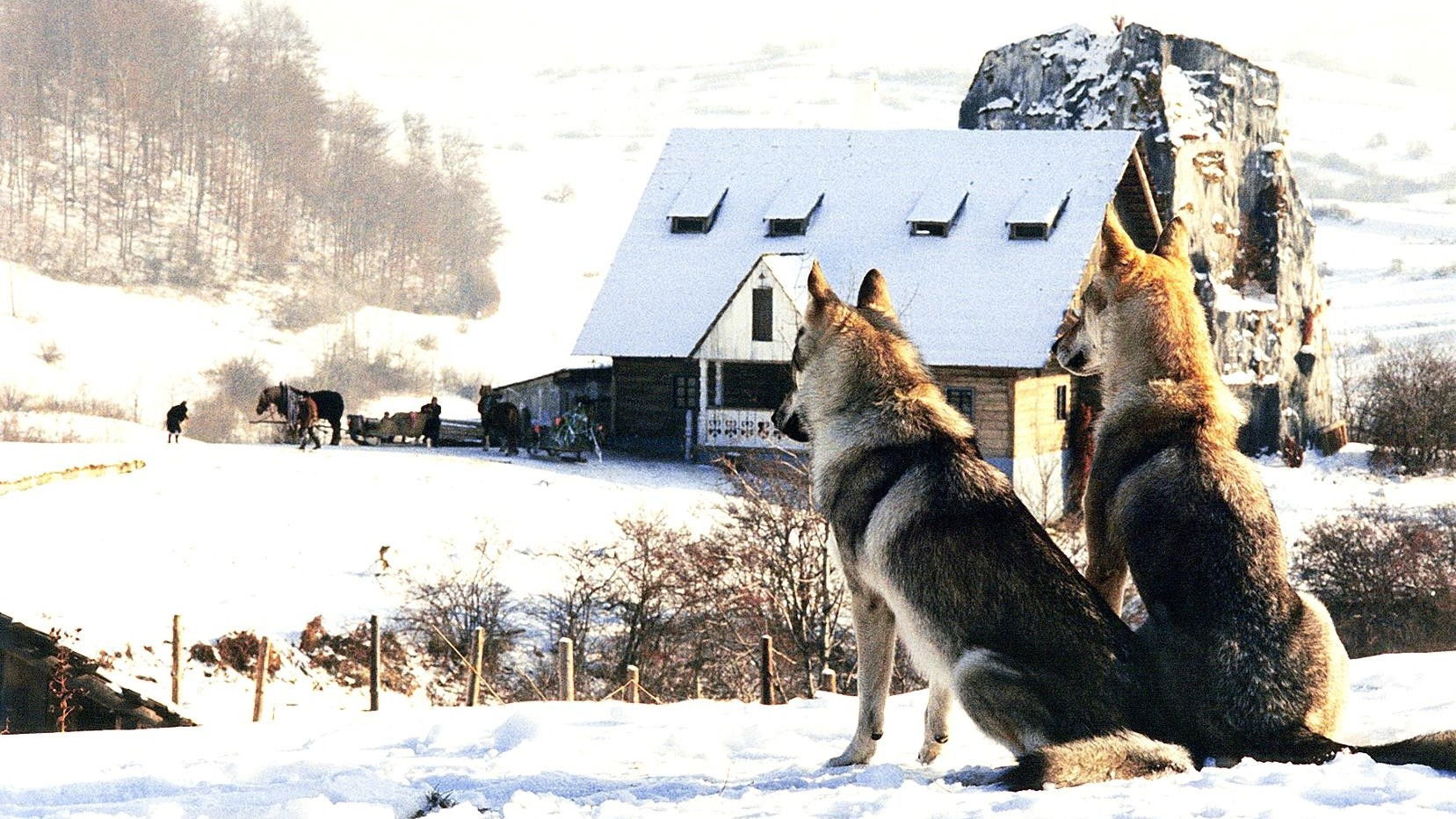 Backdrop for An Ambiguous Report About the End of the World