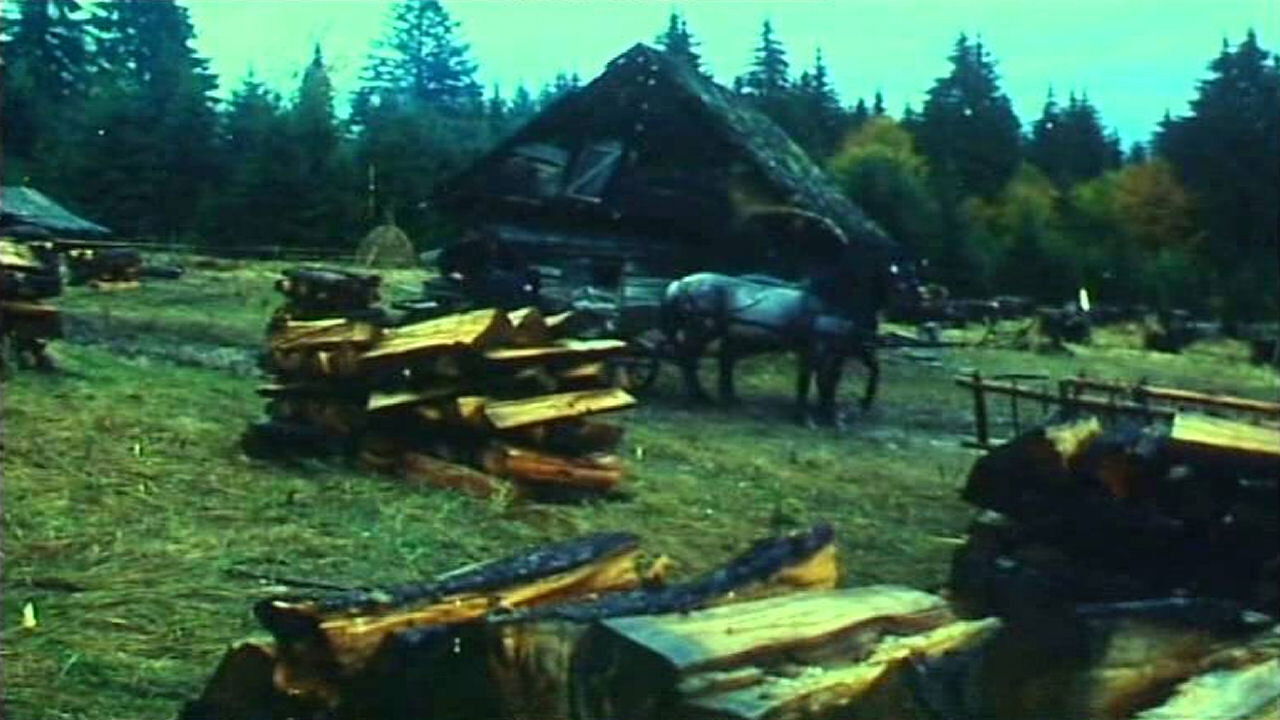 Backdrop for Ábel a rengetegben