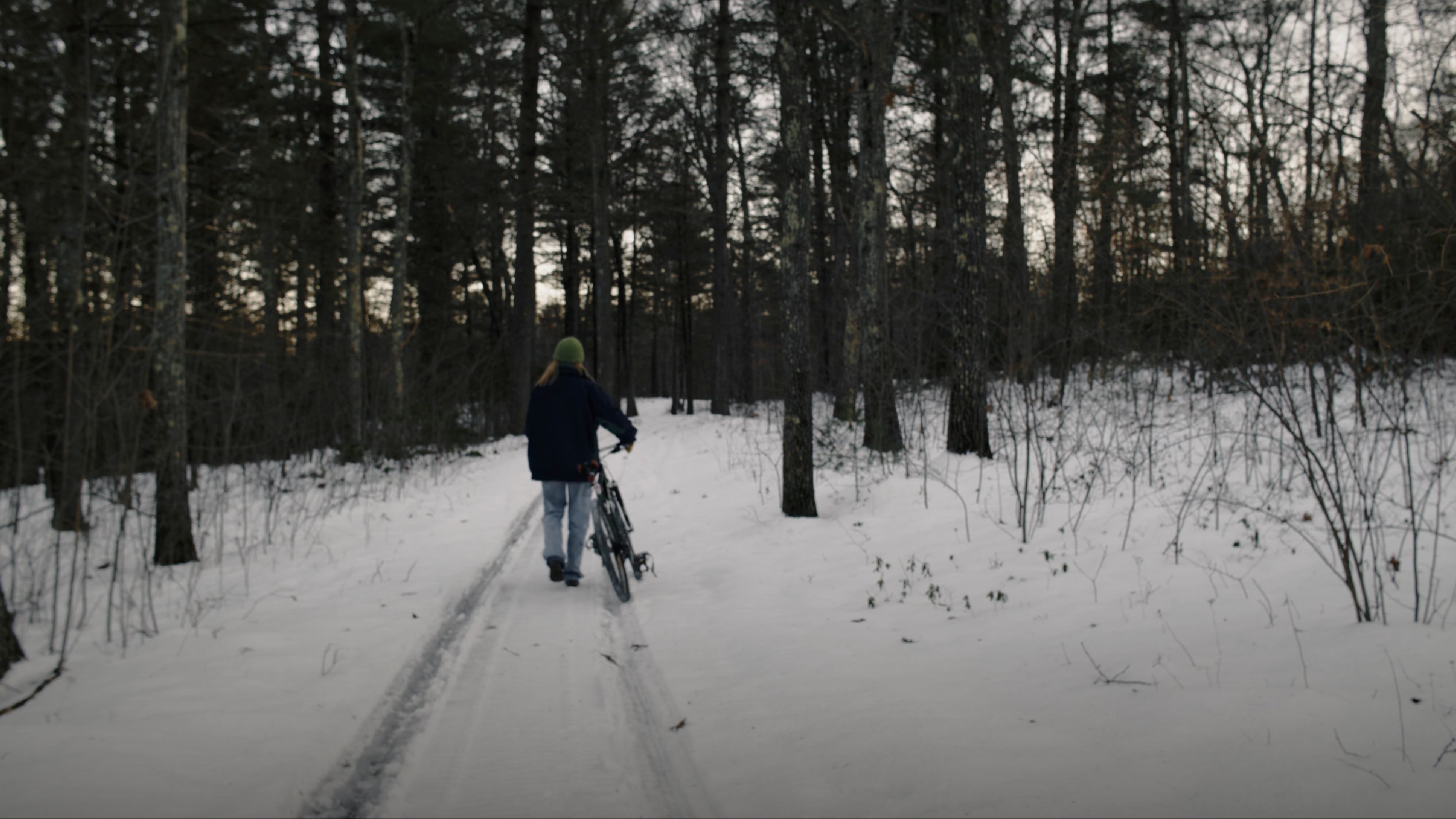 Backdrop for The Wych Elm