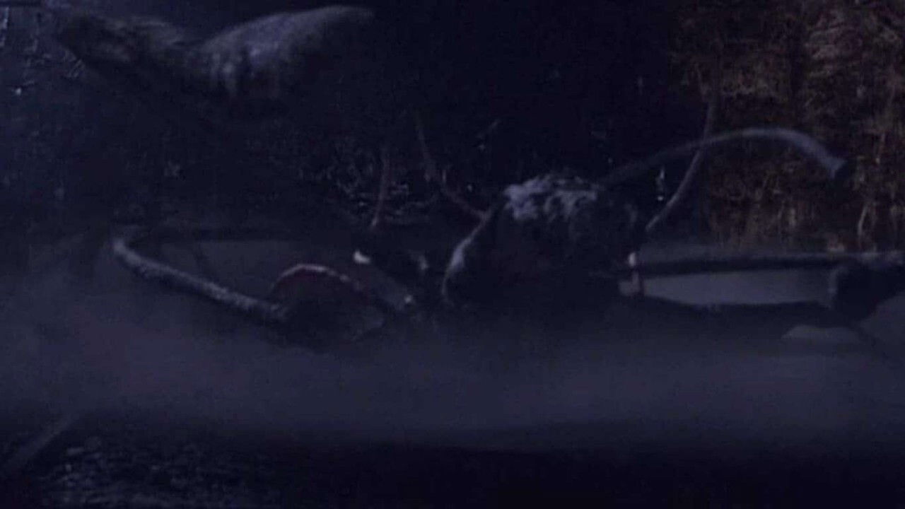 Backdrop for Resonnances