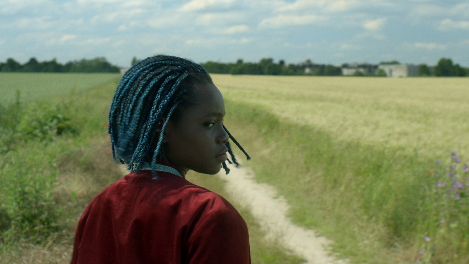 Backdrop for The Horizon