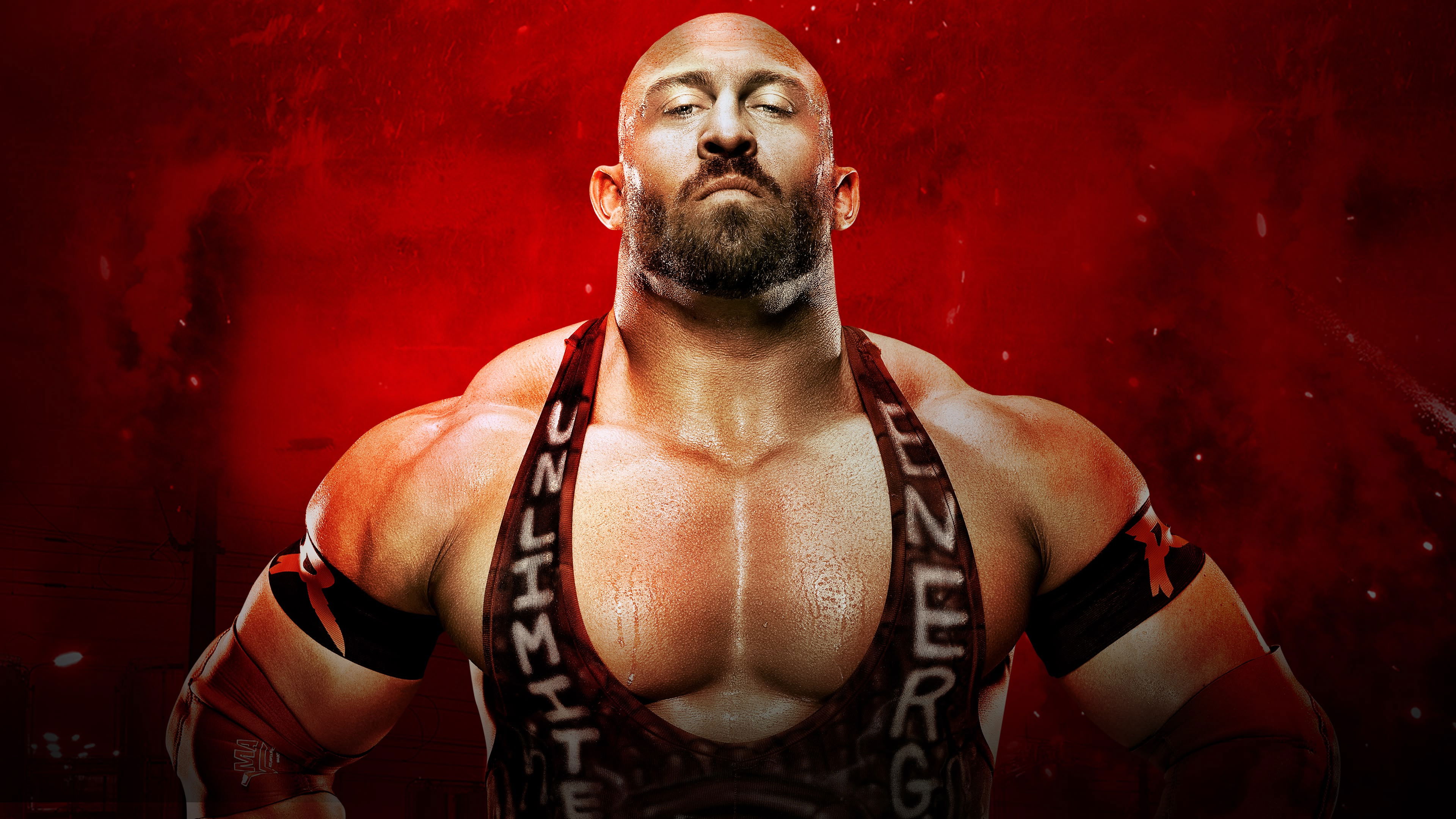 Backdrop for WWE Battleground 2013