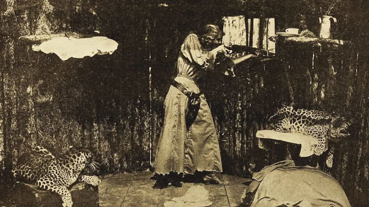 Backdrop for Captain Kate