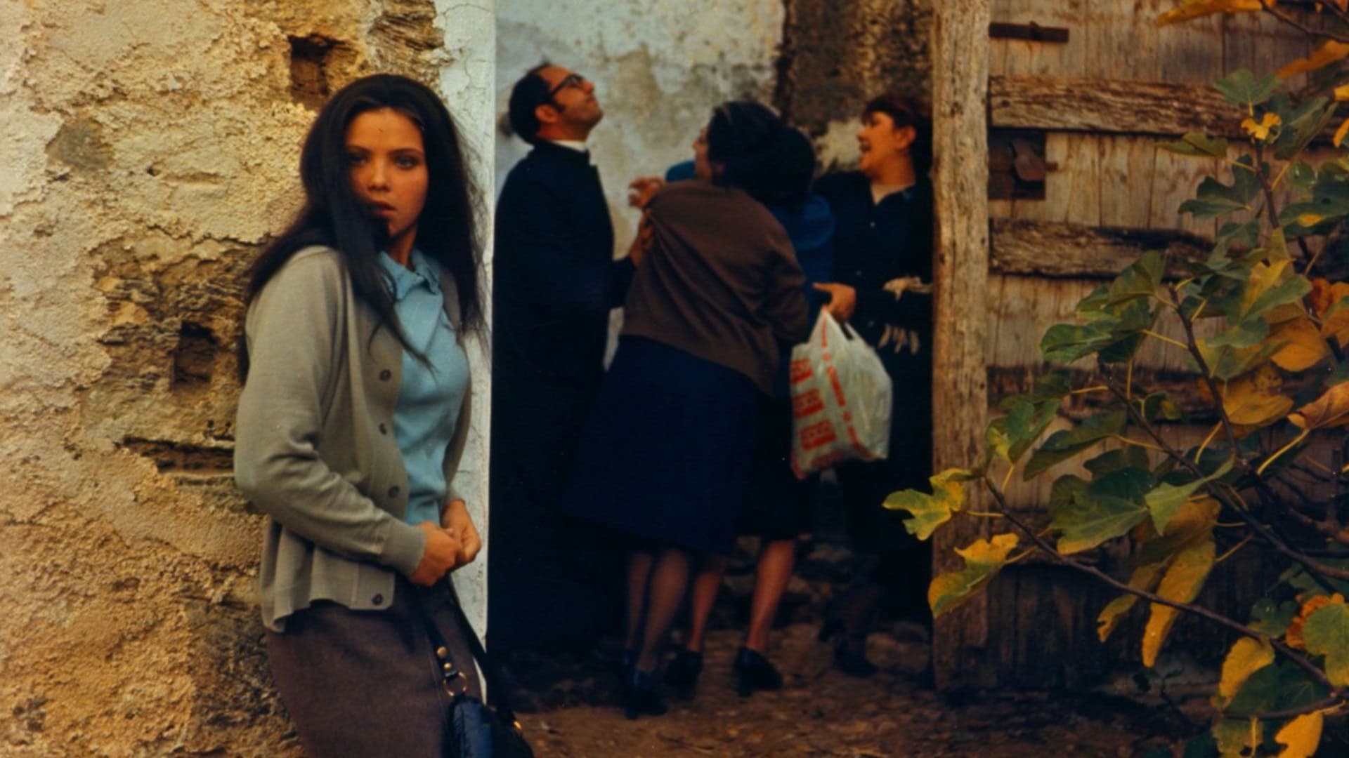 Backdrop for The Most Beautiful Wife