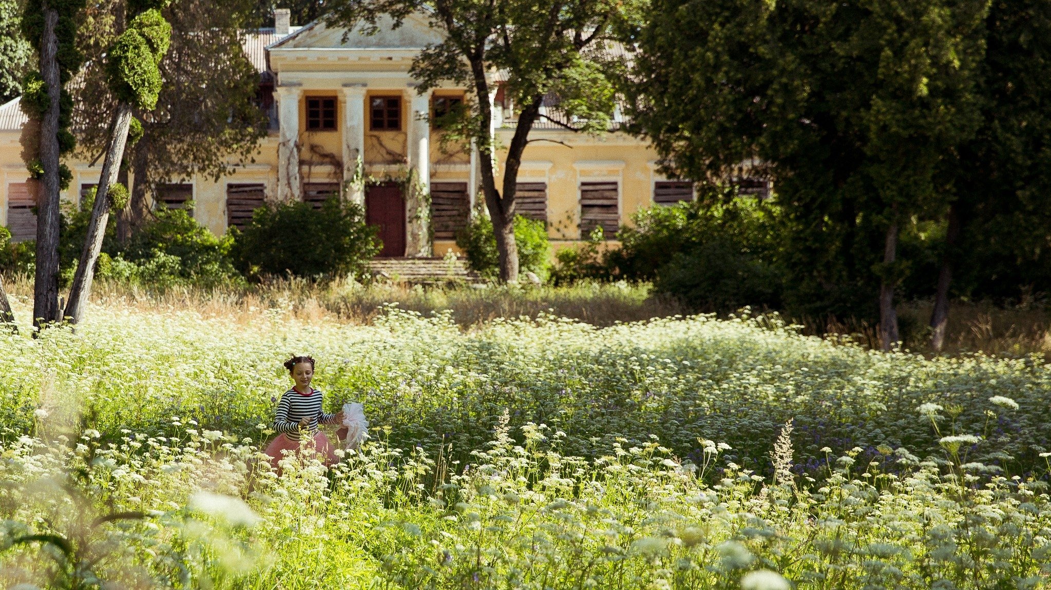 Backdrop for A Butterfly's Heart