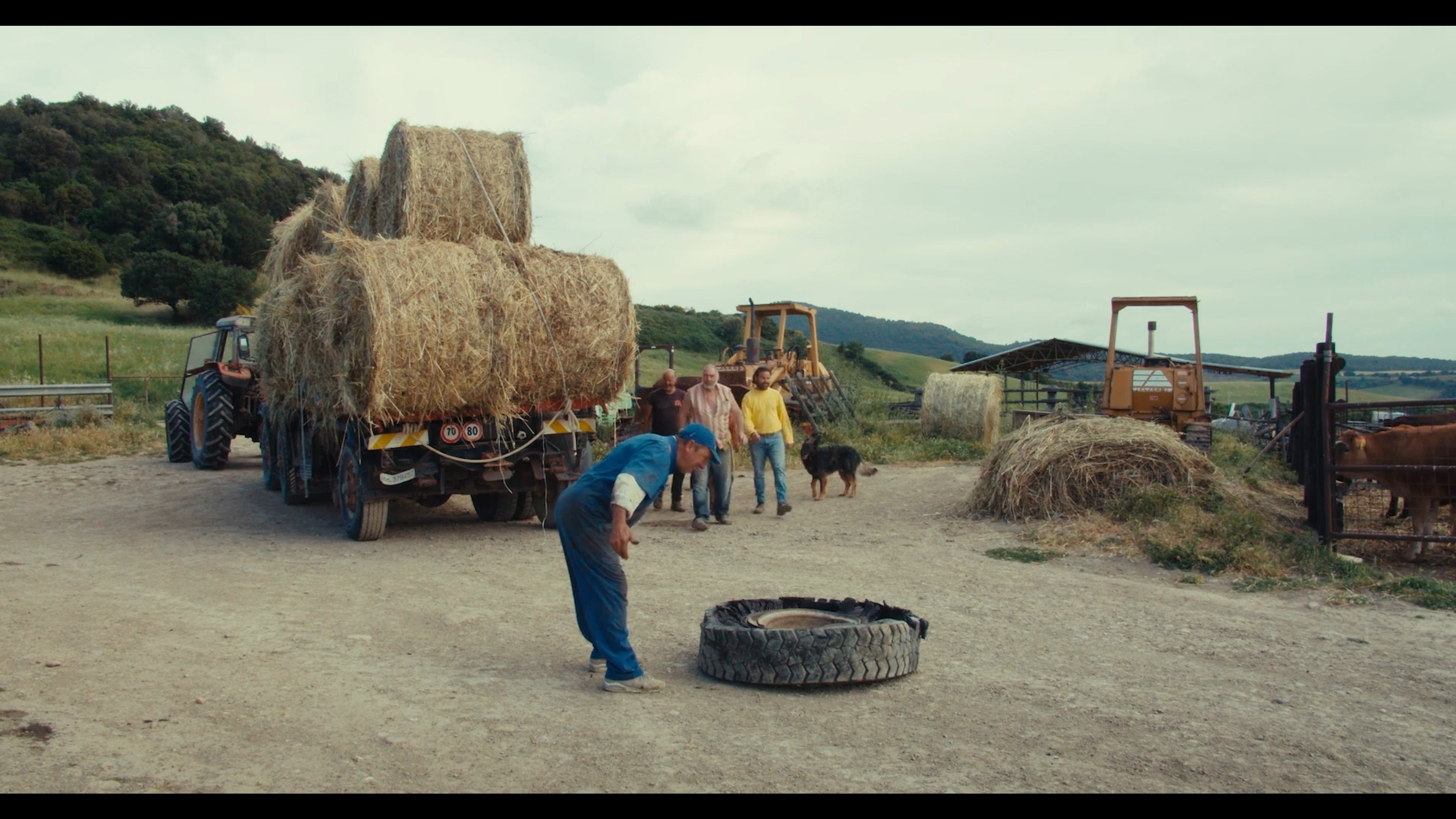 Backdrop for The Substance of Days