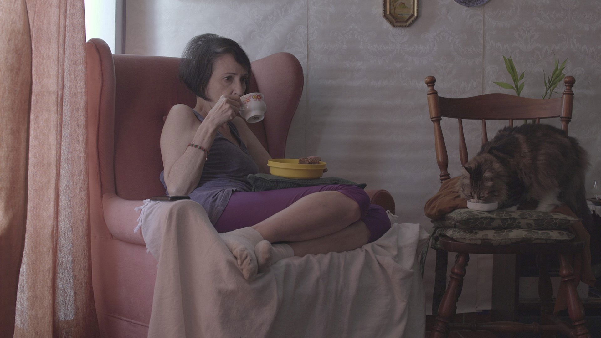 Backdrop for The Cake