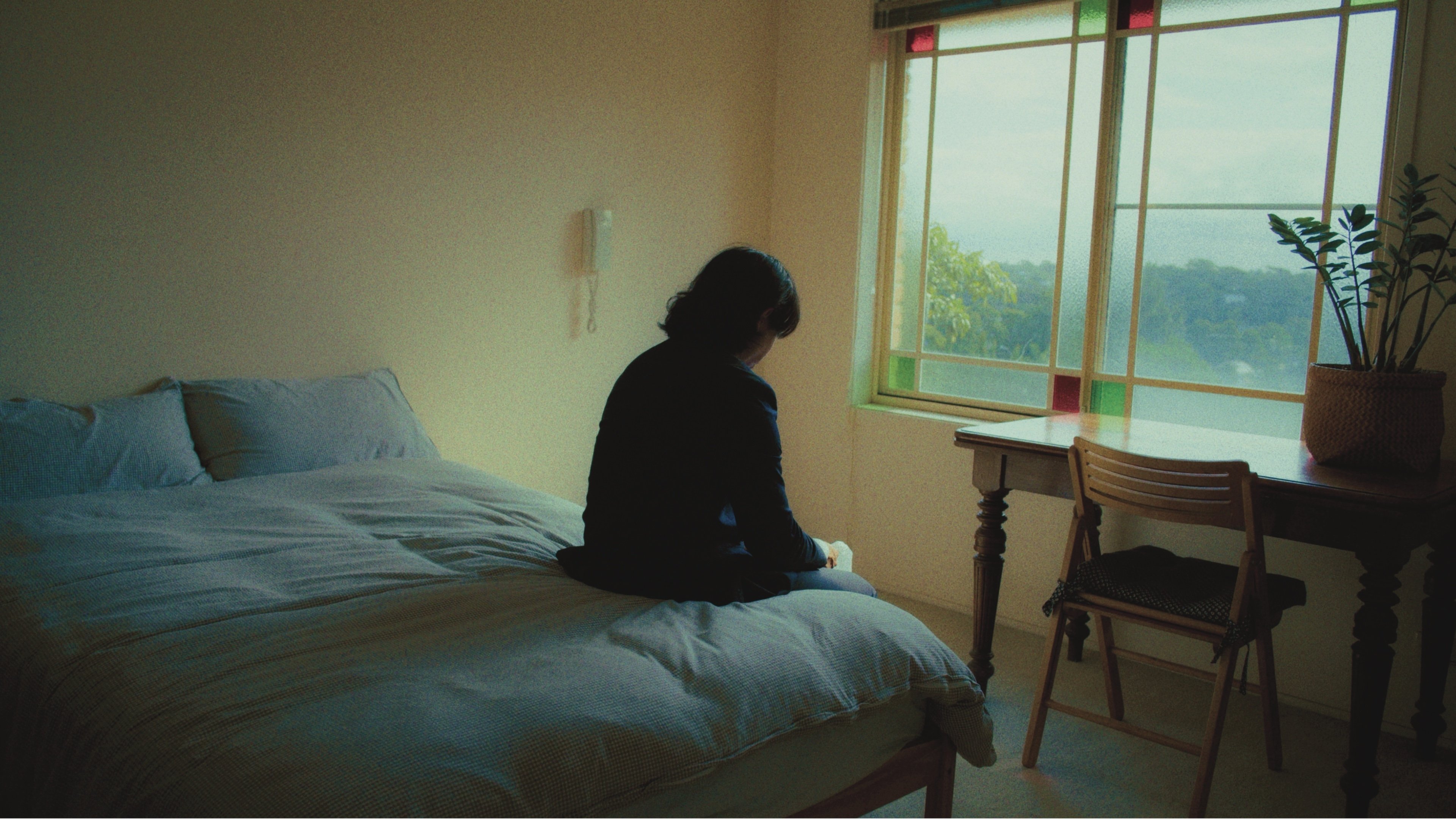 Backdrop for Komorebi