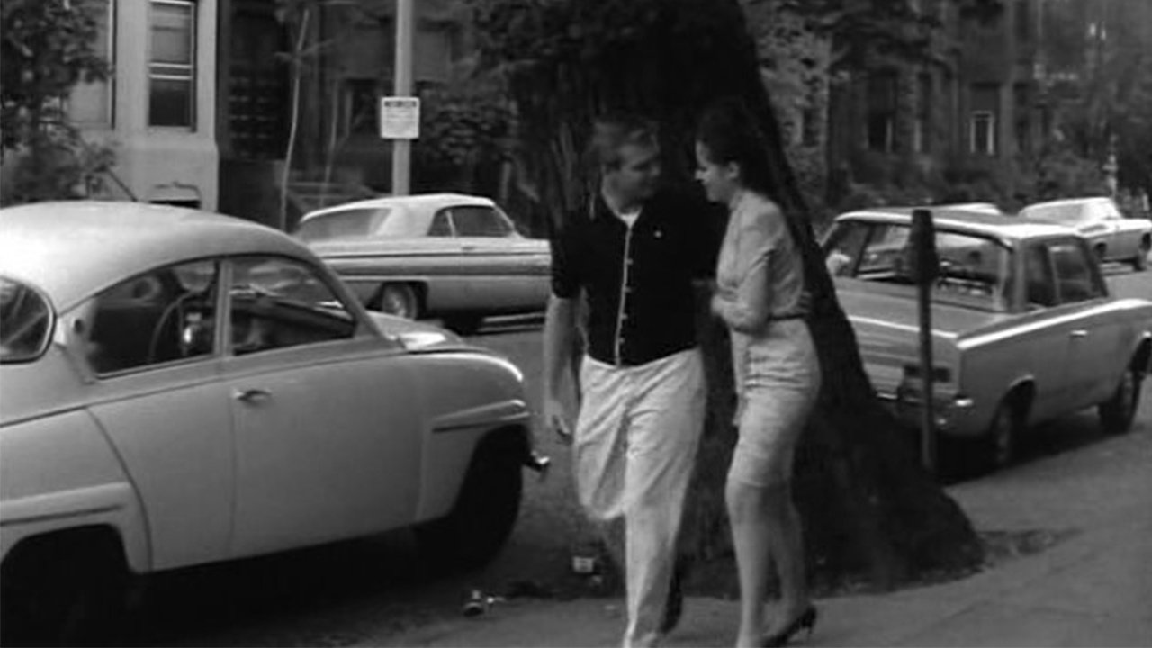 Backdrop for Kitten in a Cage