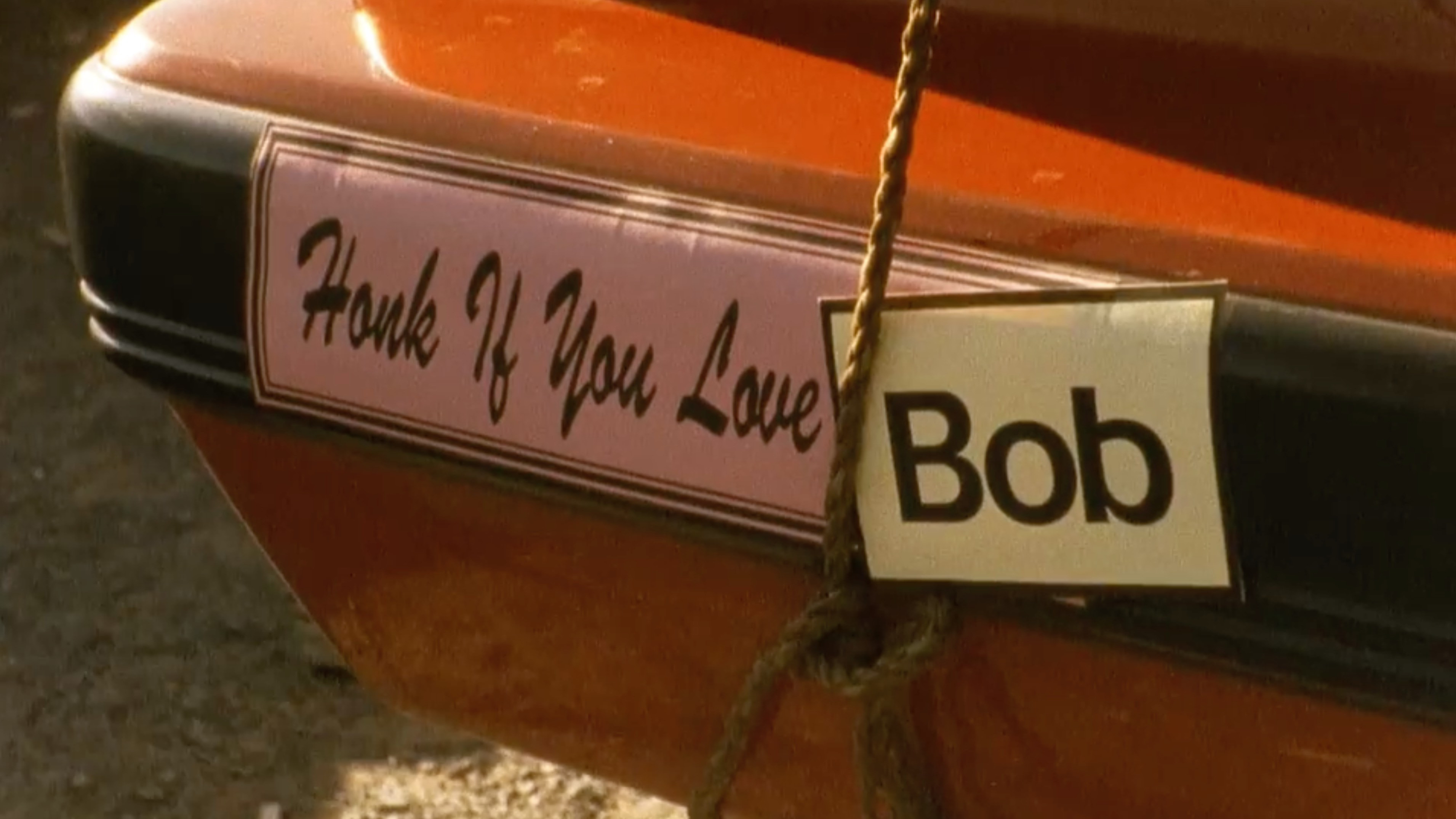 Backdrop for Beyond Bob