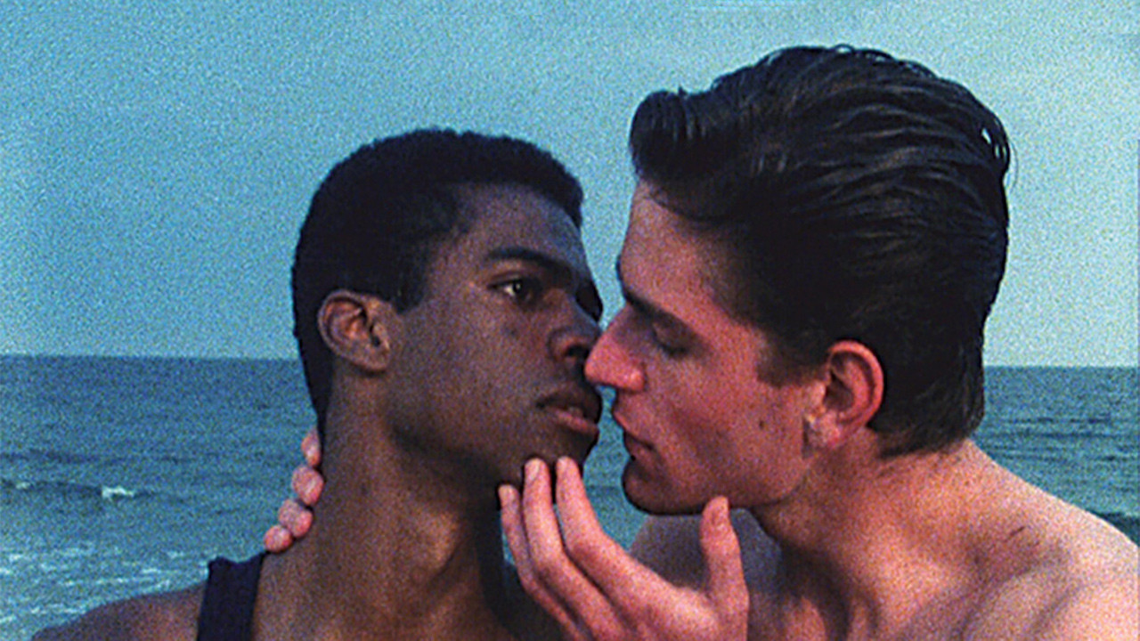 Backdrop for Anemone Me