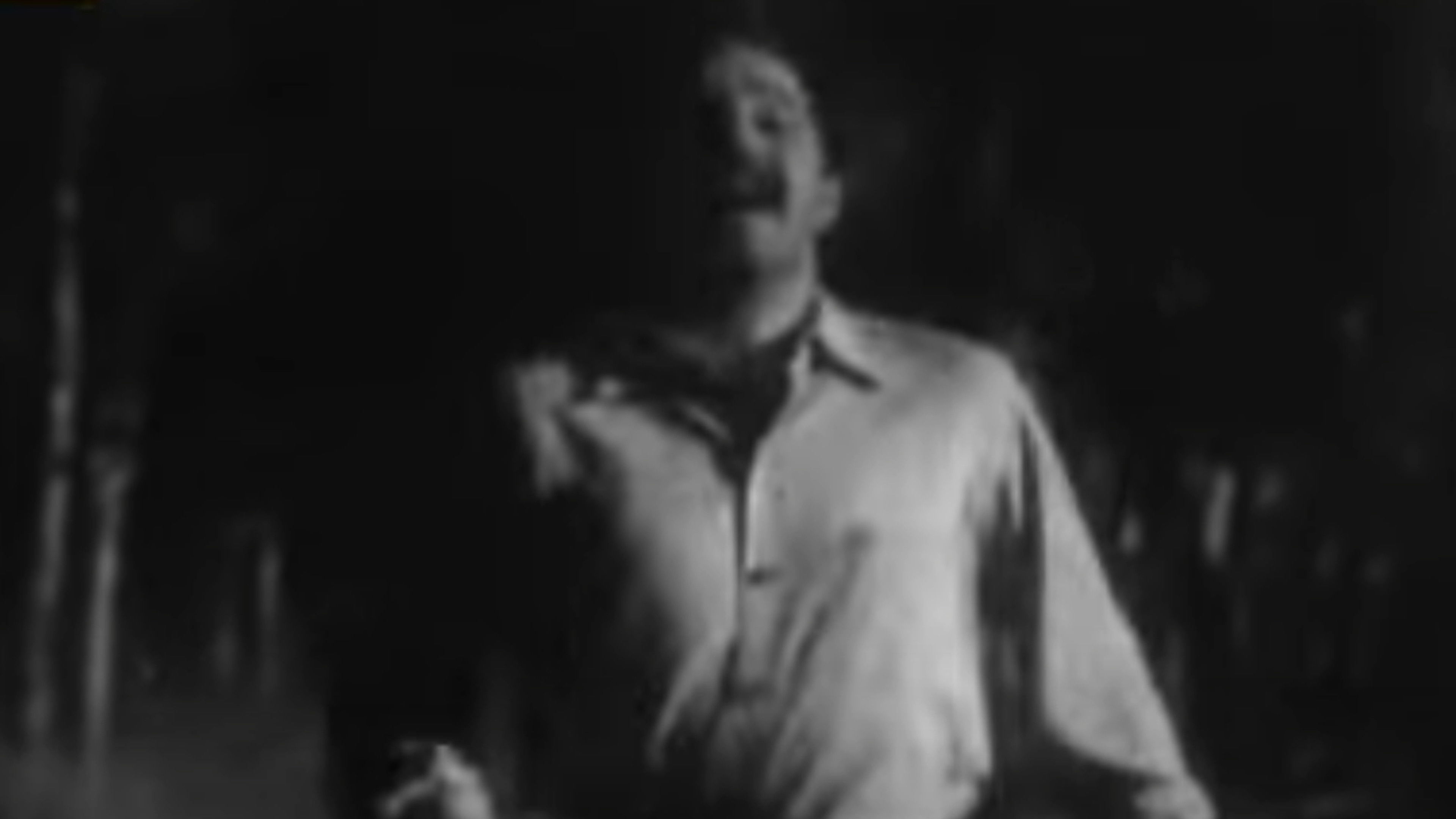 Backdrop for El Caminante