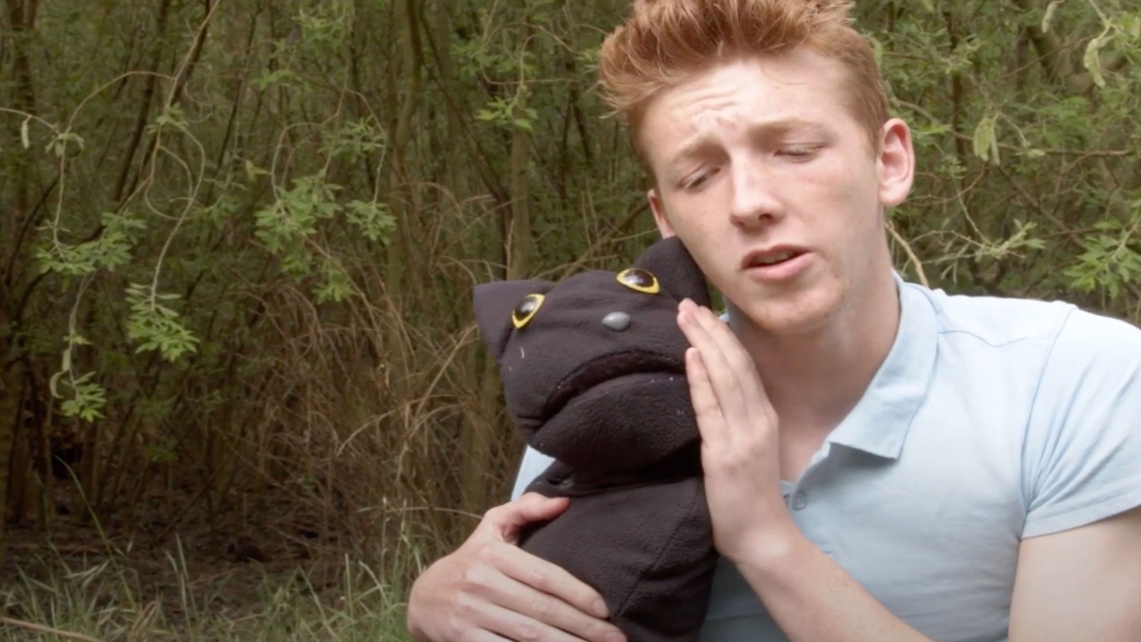 Backdrop for The Cat, the Rat, and Me