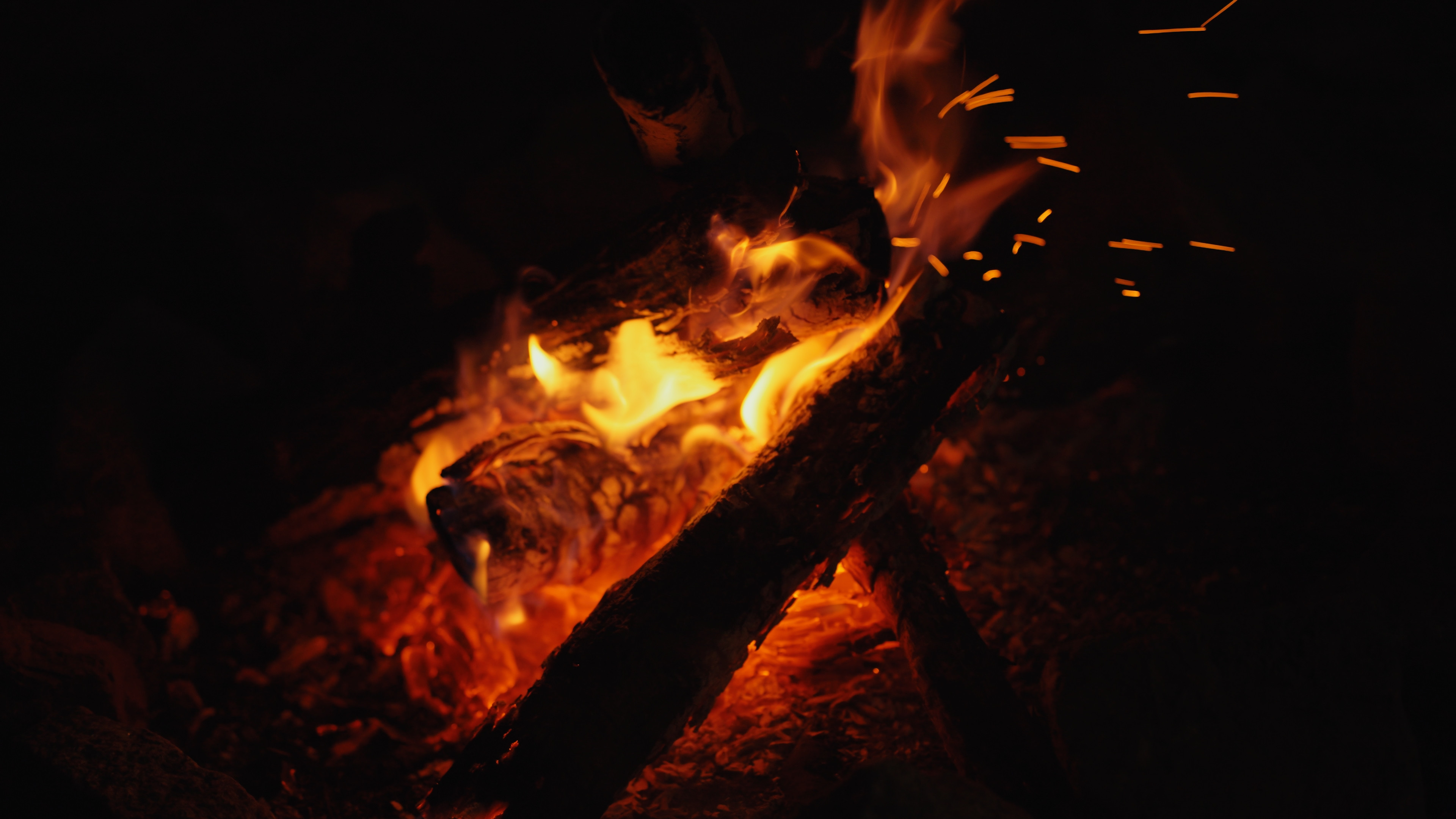 Backdrop for The Dead River