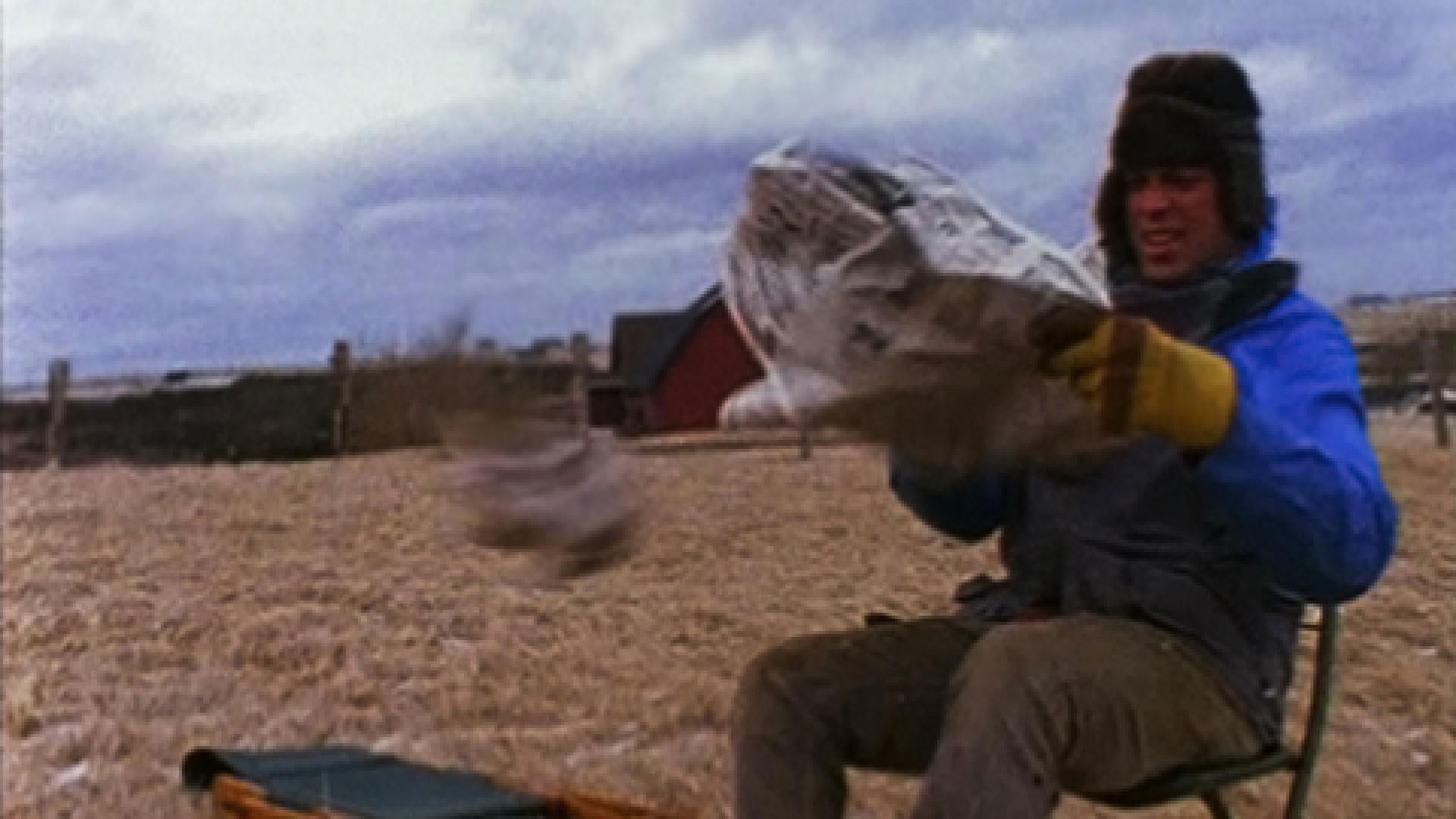 Backdrop for Suêtes