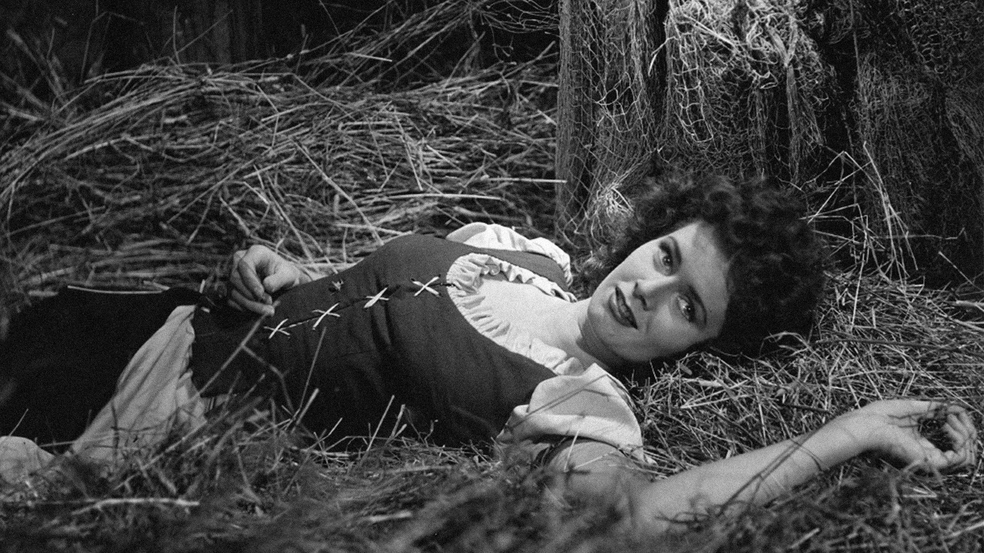 Backdrop for Harald Handfaste