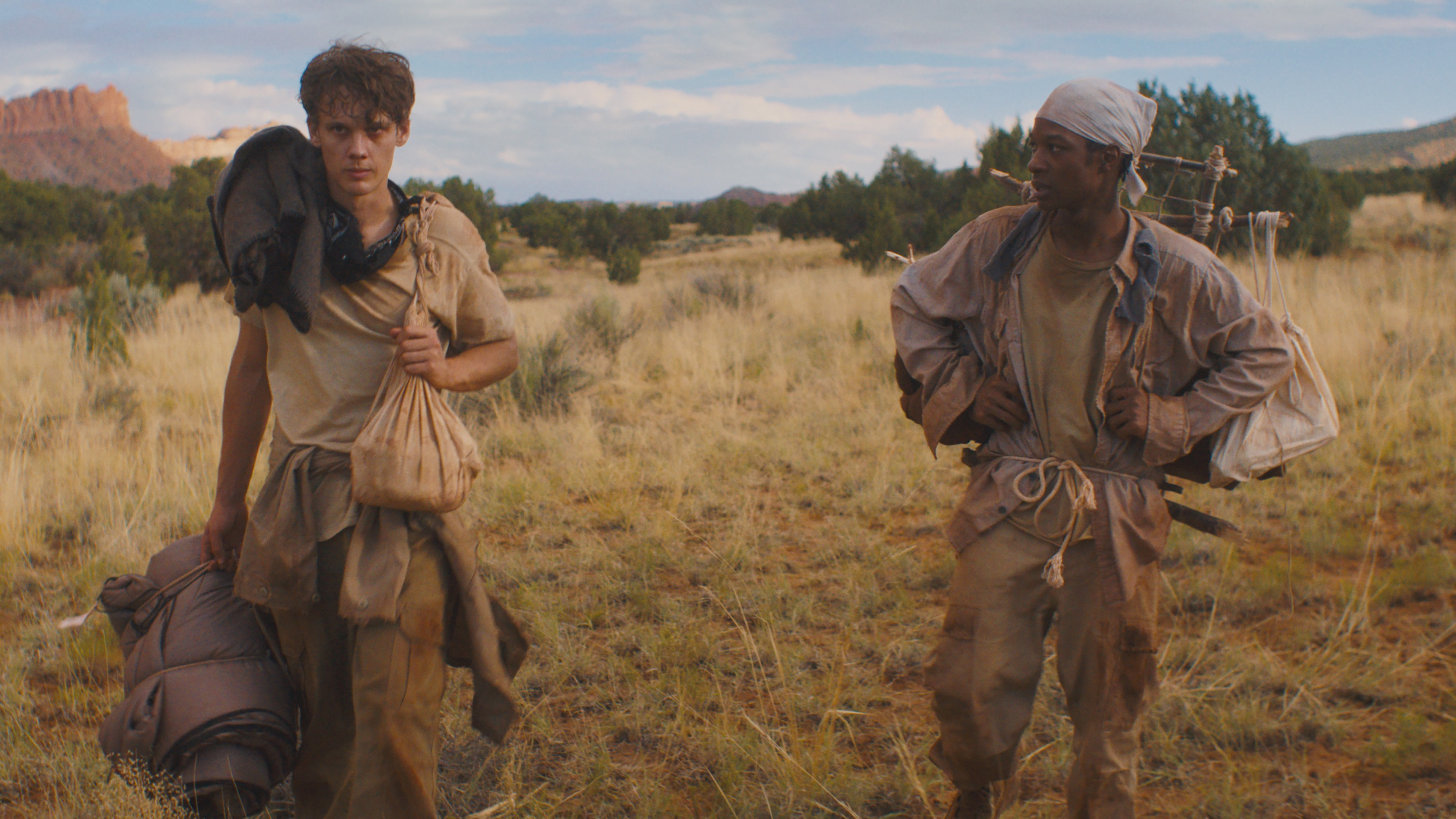 Backdrop for The Wilderness