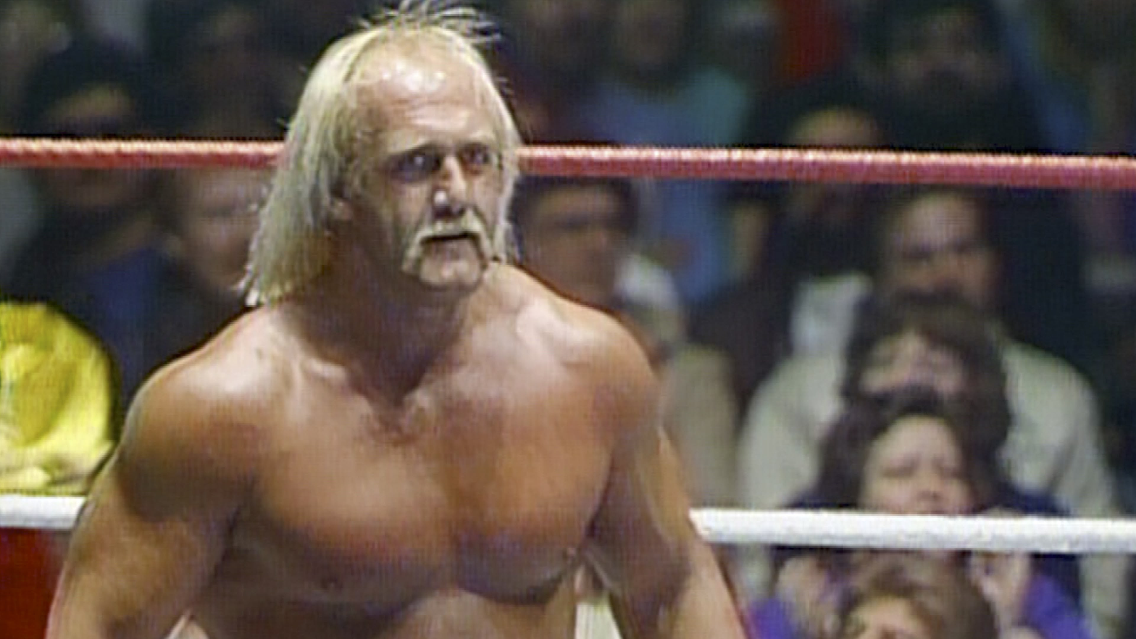 Backdrop for The Hulkster Hulk Hogan