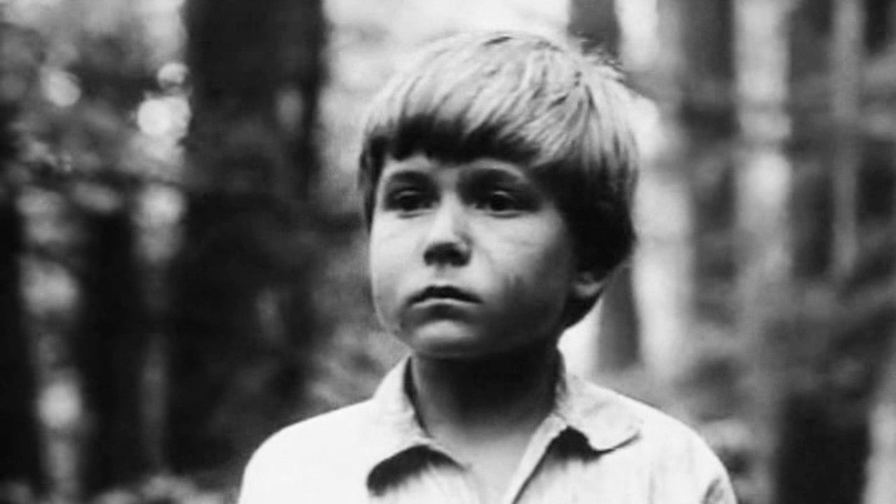 Backdrop for The Secret of the Partisan Dugout