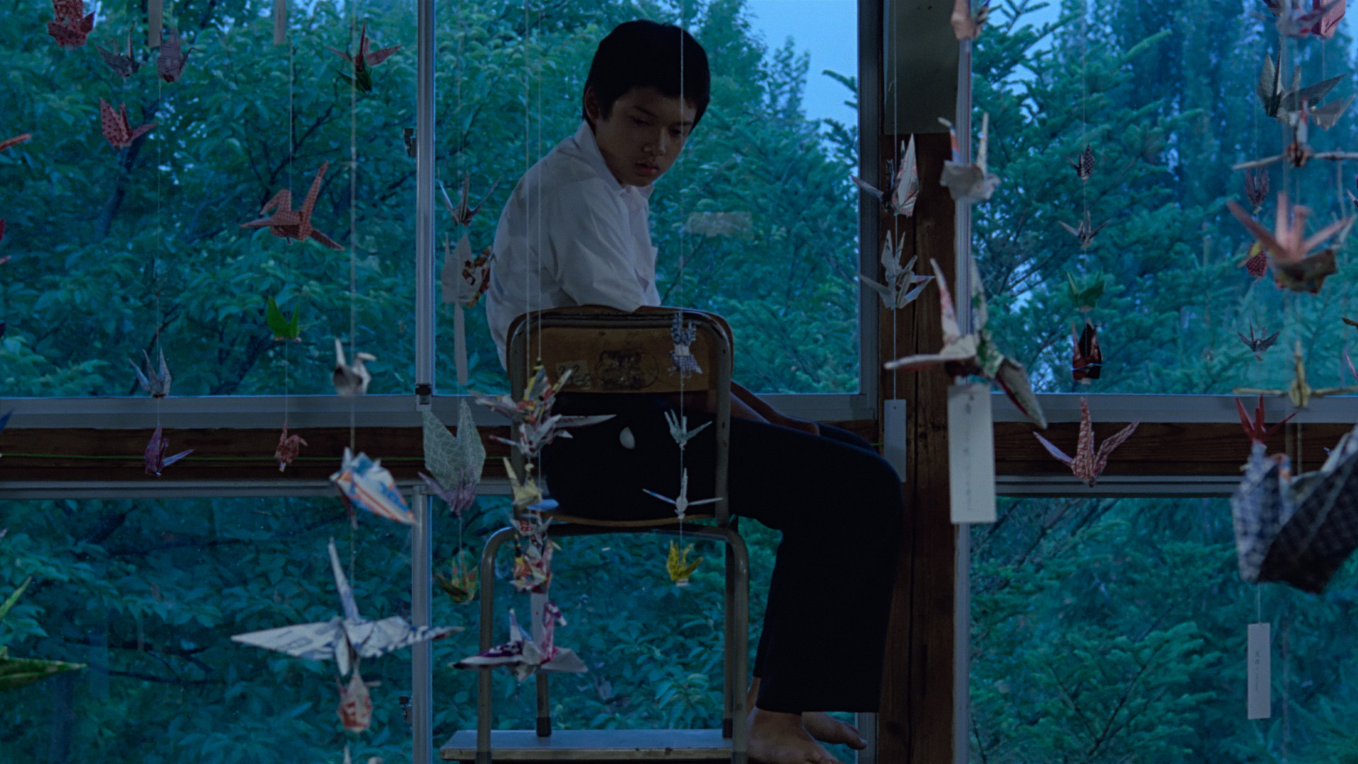 Backdrop for Typhoon Club