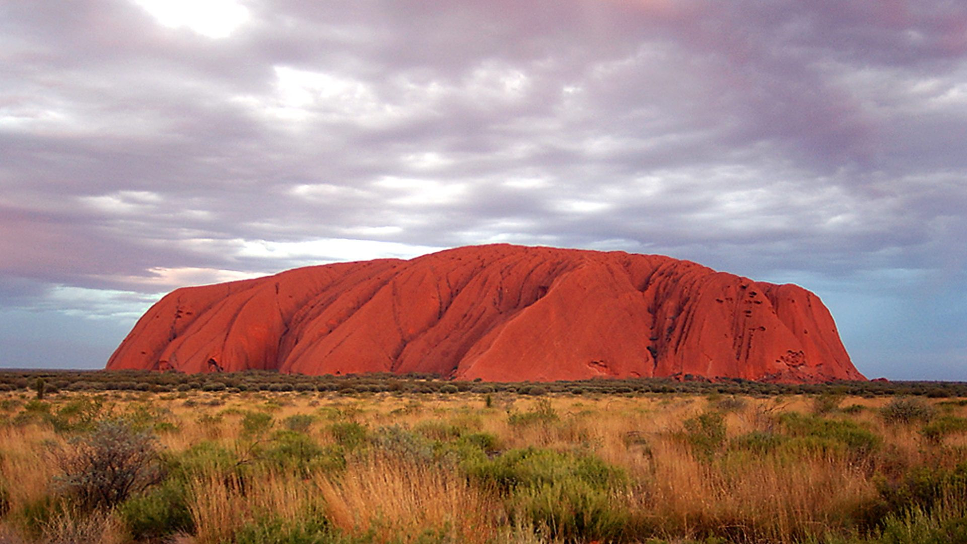 Backdrop for Wild Down Under