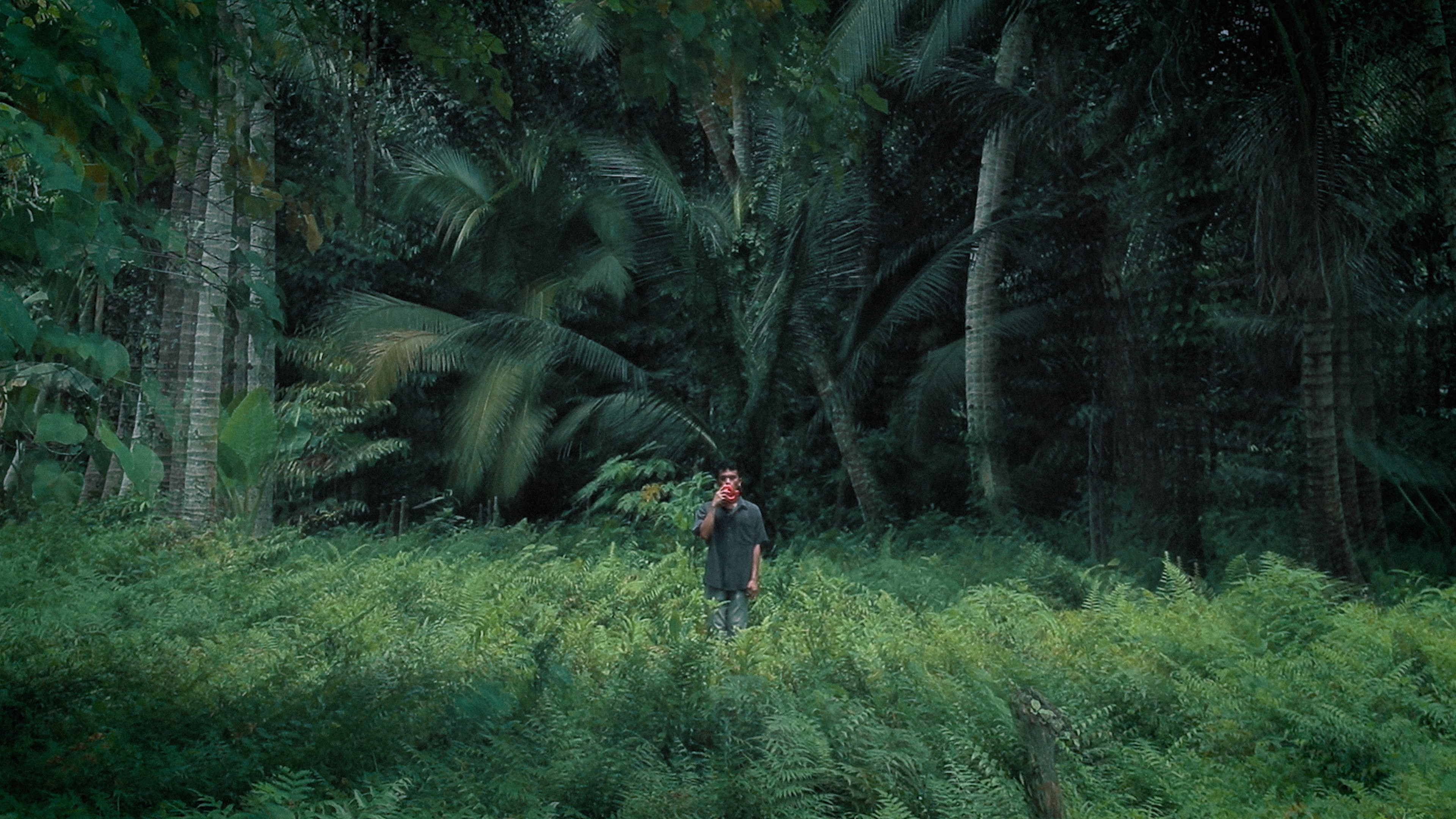 Backdrop for Memories of Tomorrow