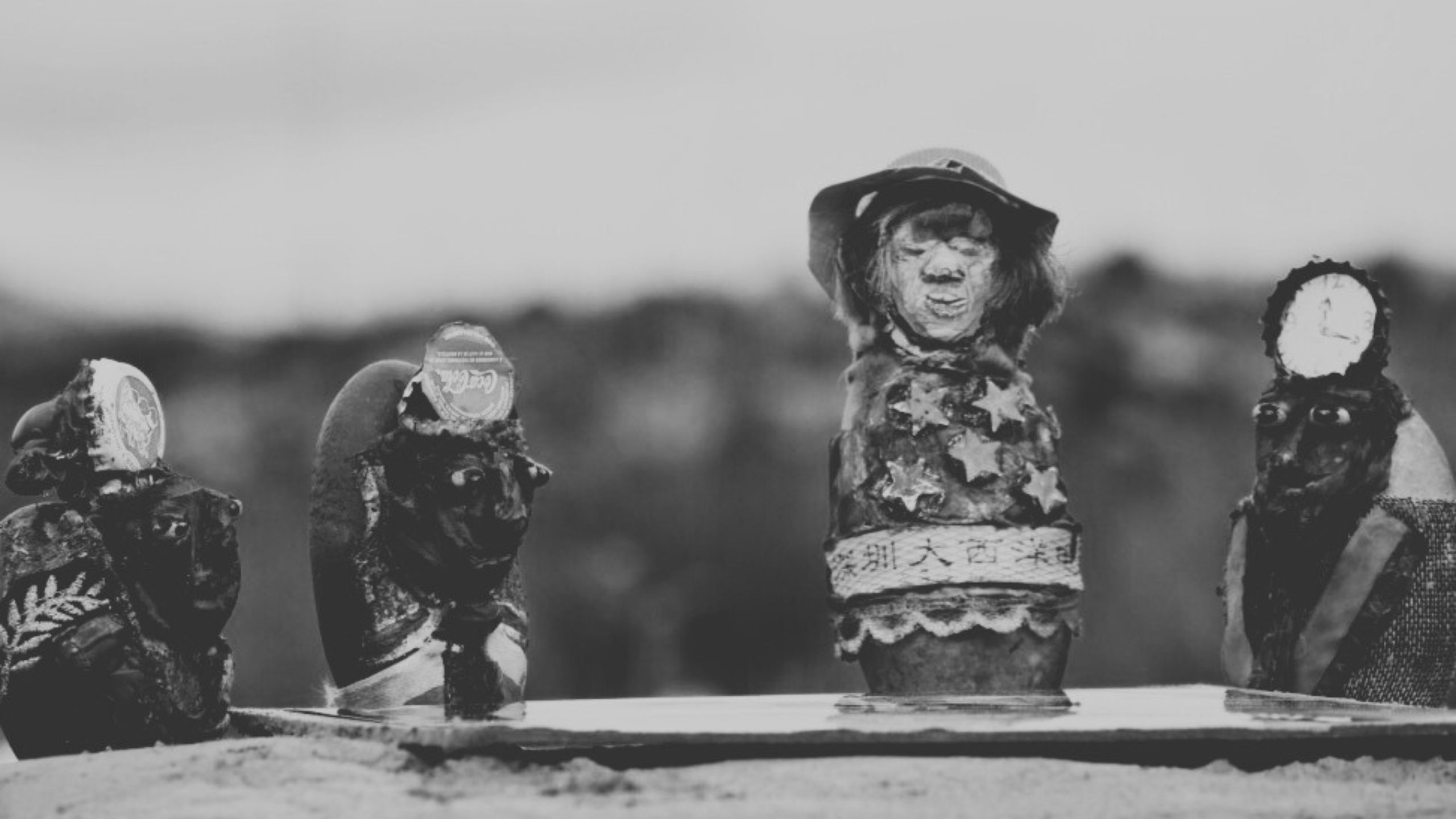 Backdrop for Where Zebus Speak French