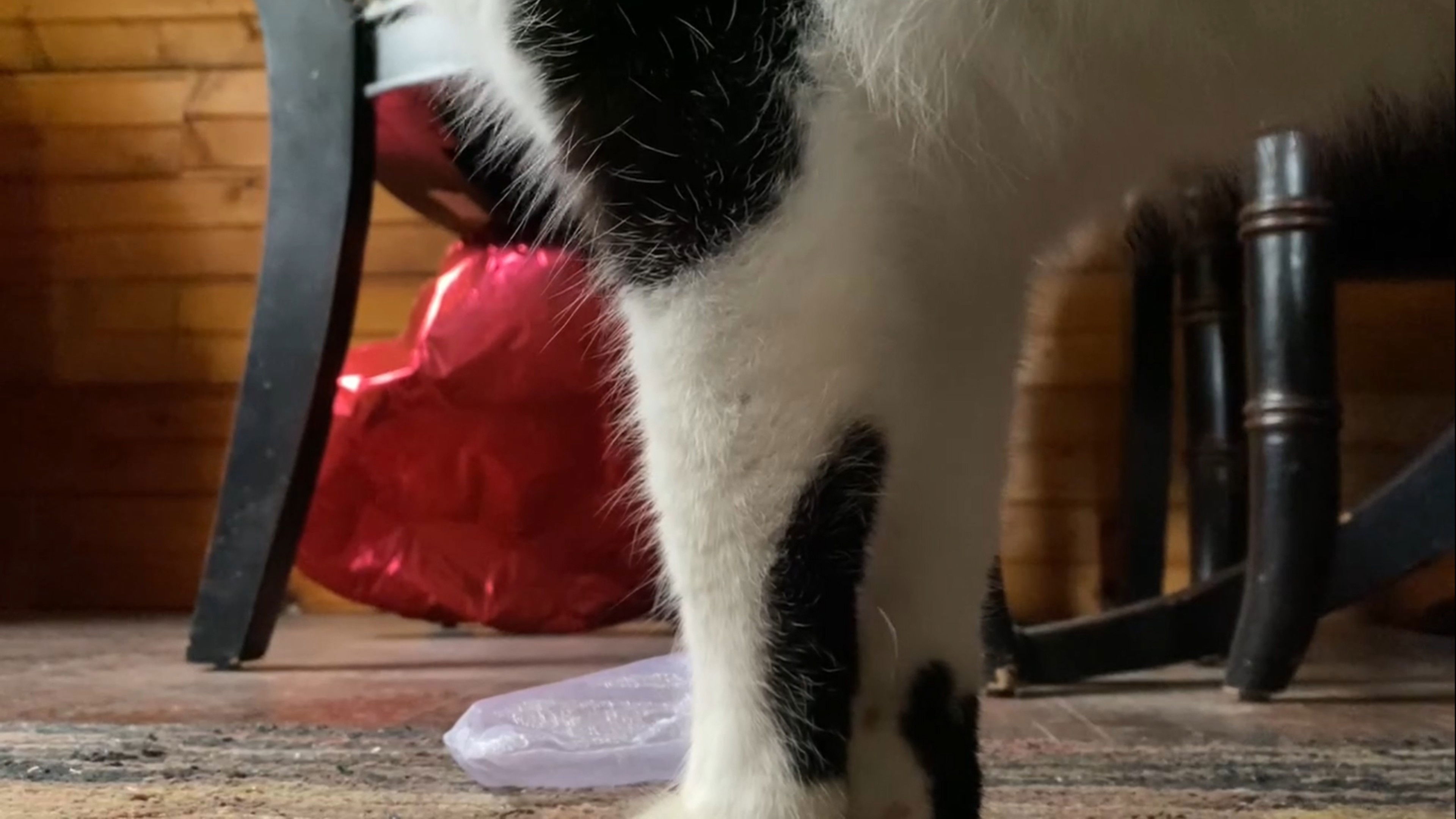 Backdrop for Manic Magic: a Poem in Four Parts